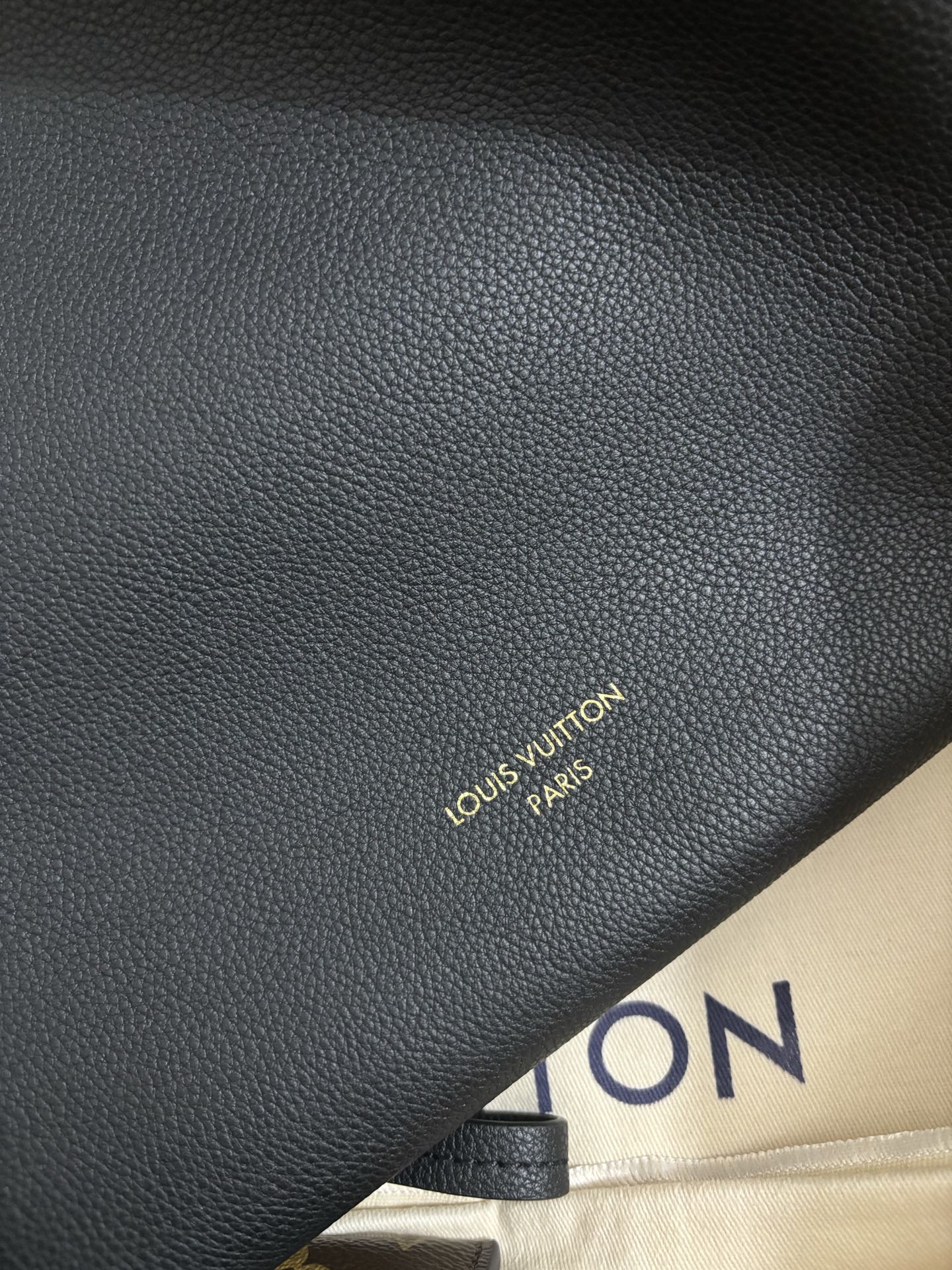 Louis Vuitton Low Key Hobo Sj Small Handbag