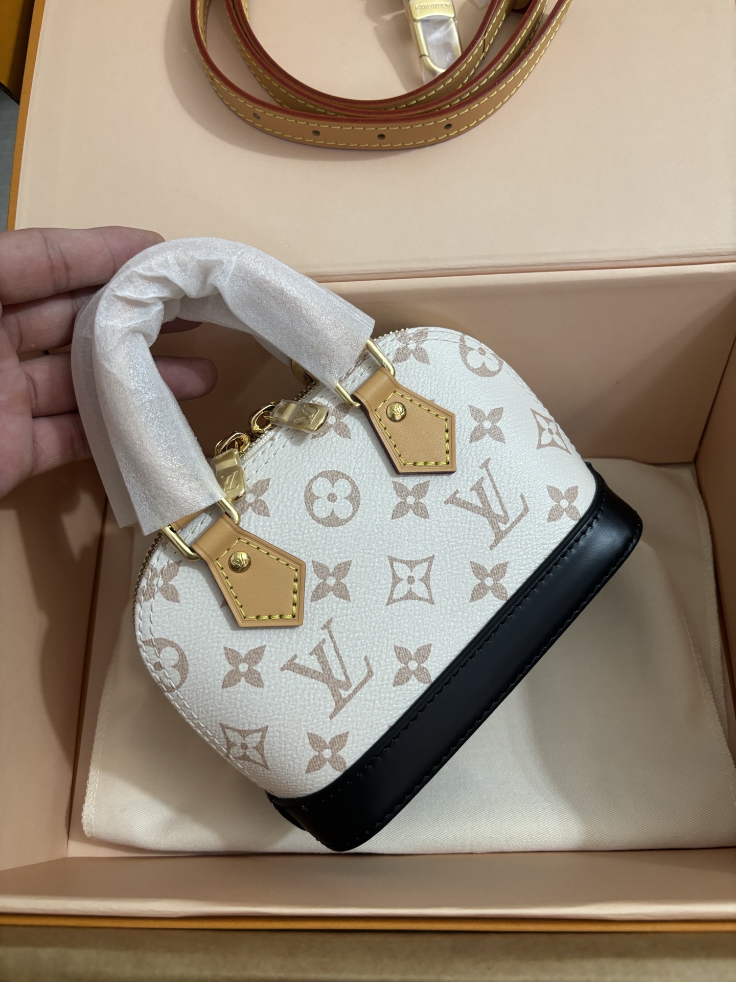 Louis Vuitton New Launch Nano Alma Handbag