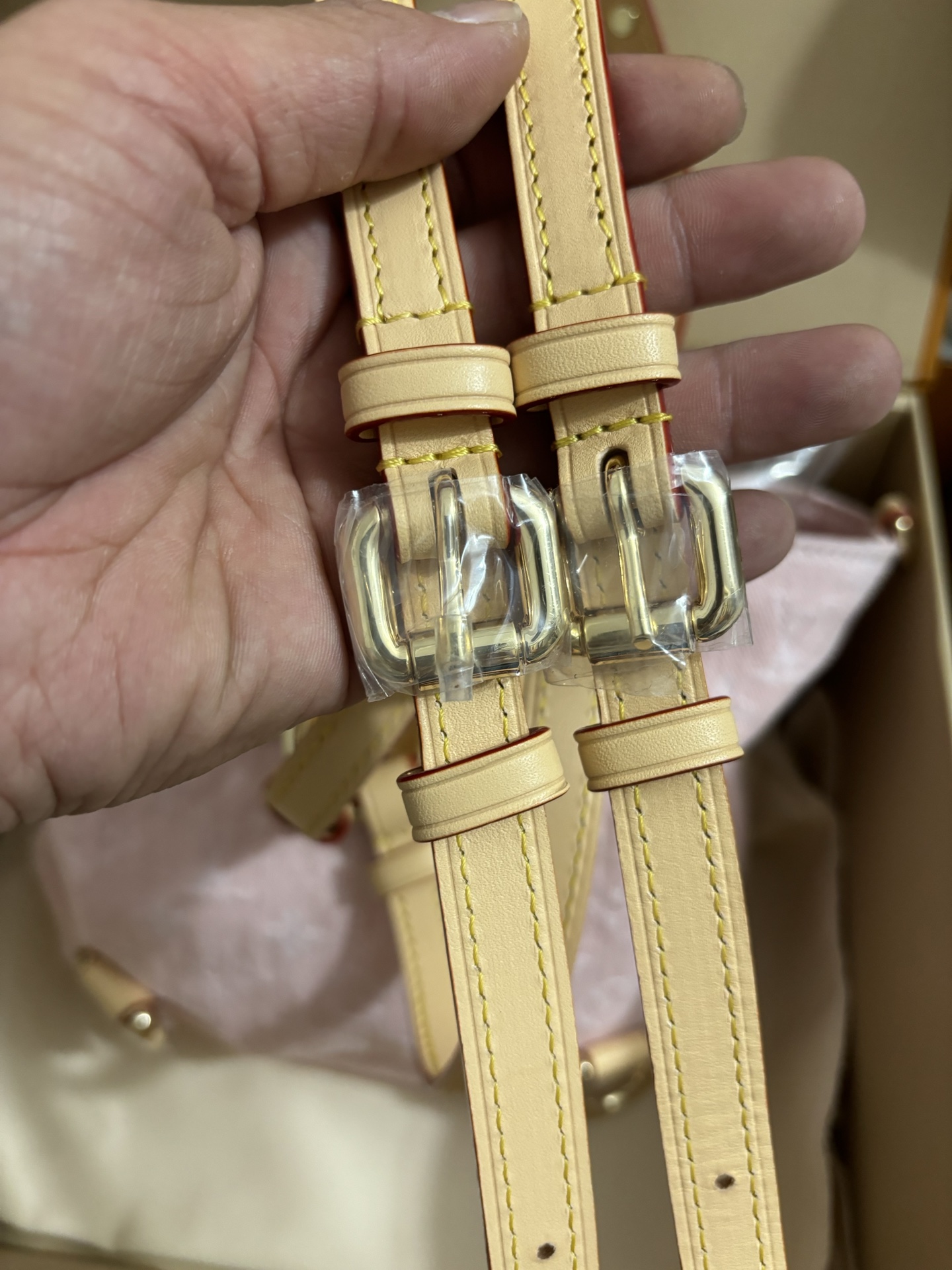 Louis Vuitton Venice Backpack