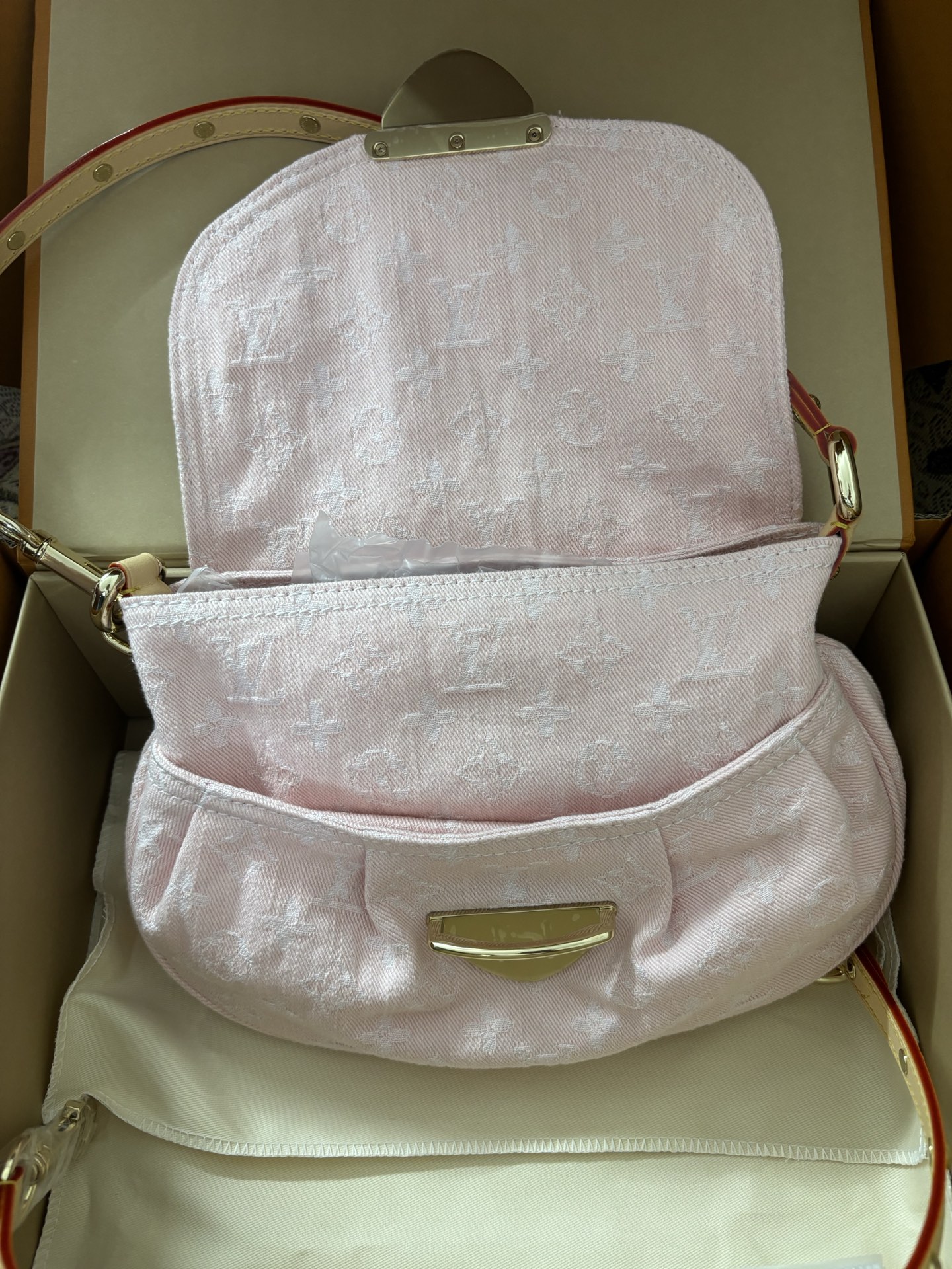 Louis Vuitton Monogram Denim Canvas Bag