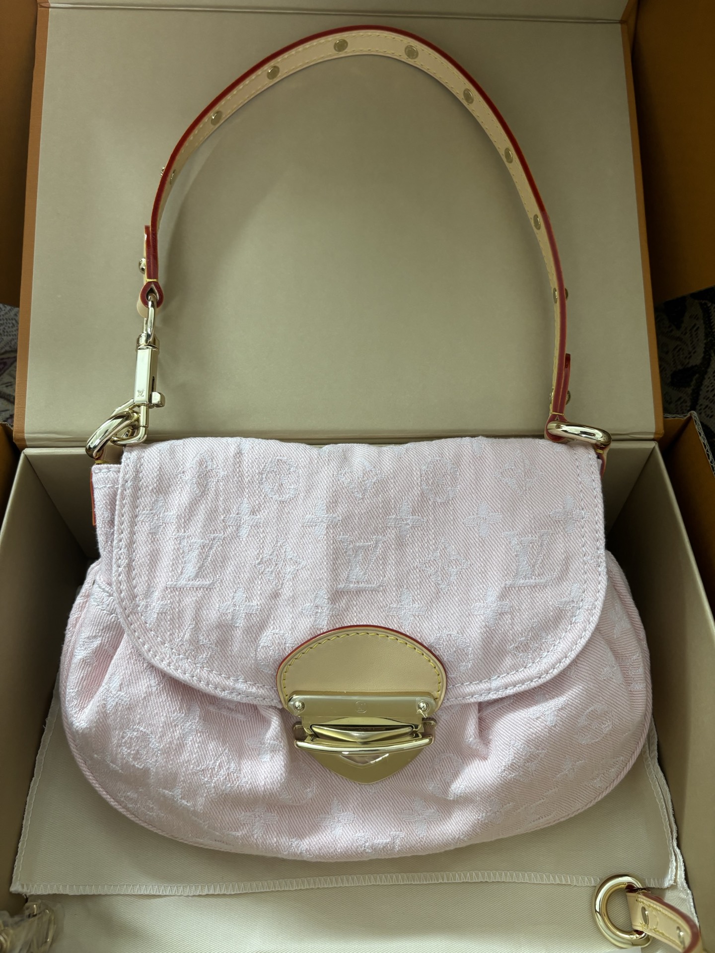 Louis Vuitton Monogram Denim Canvas Bag