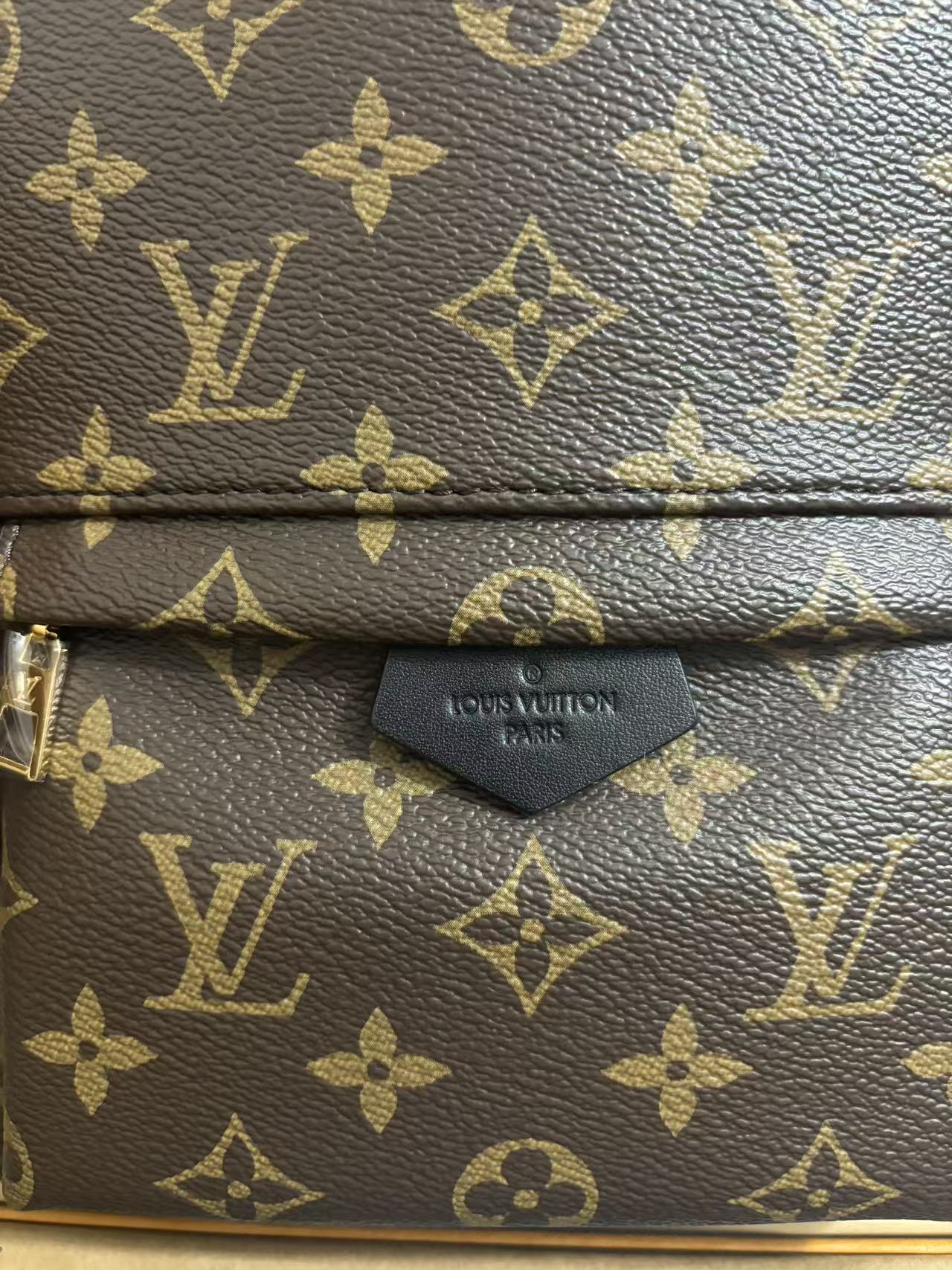 Louis Vuitton Palm Springs Small Backpack