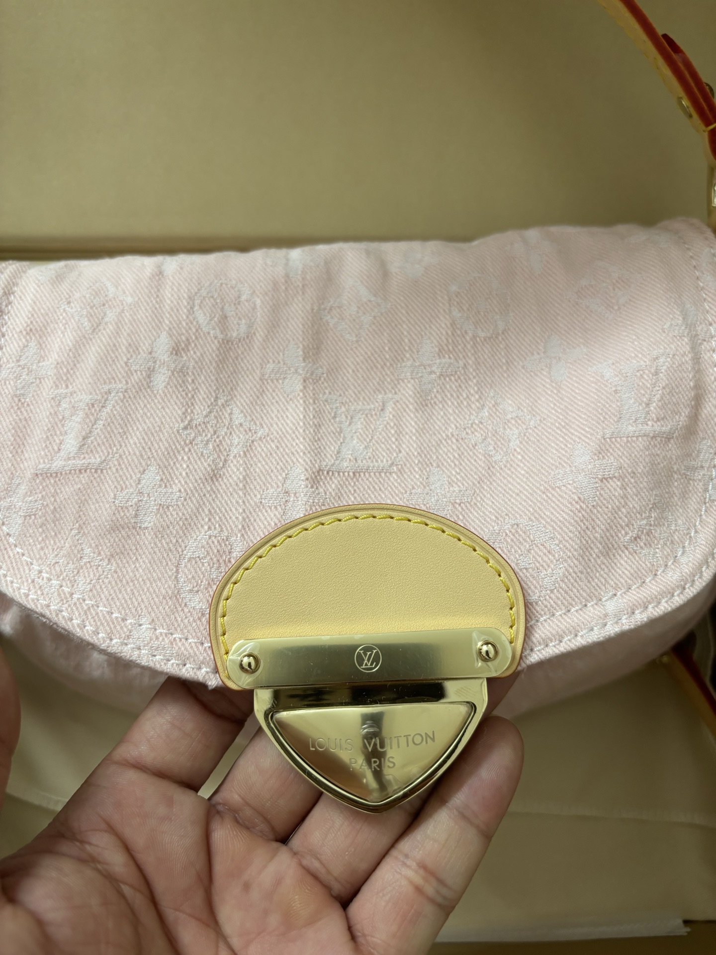 Louis Vuitton Monogram Denim Canvas Bag