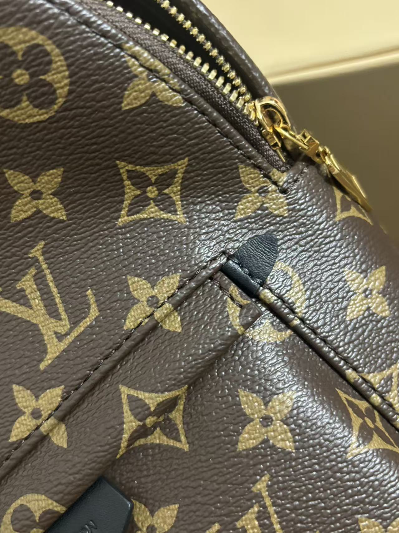 Louis Vuitton Palm Springs Small Backpack
