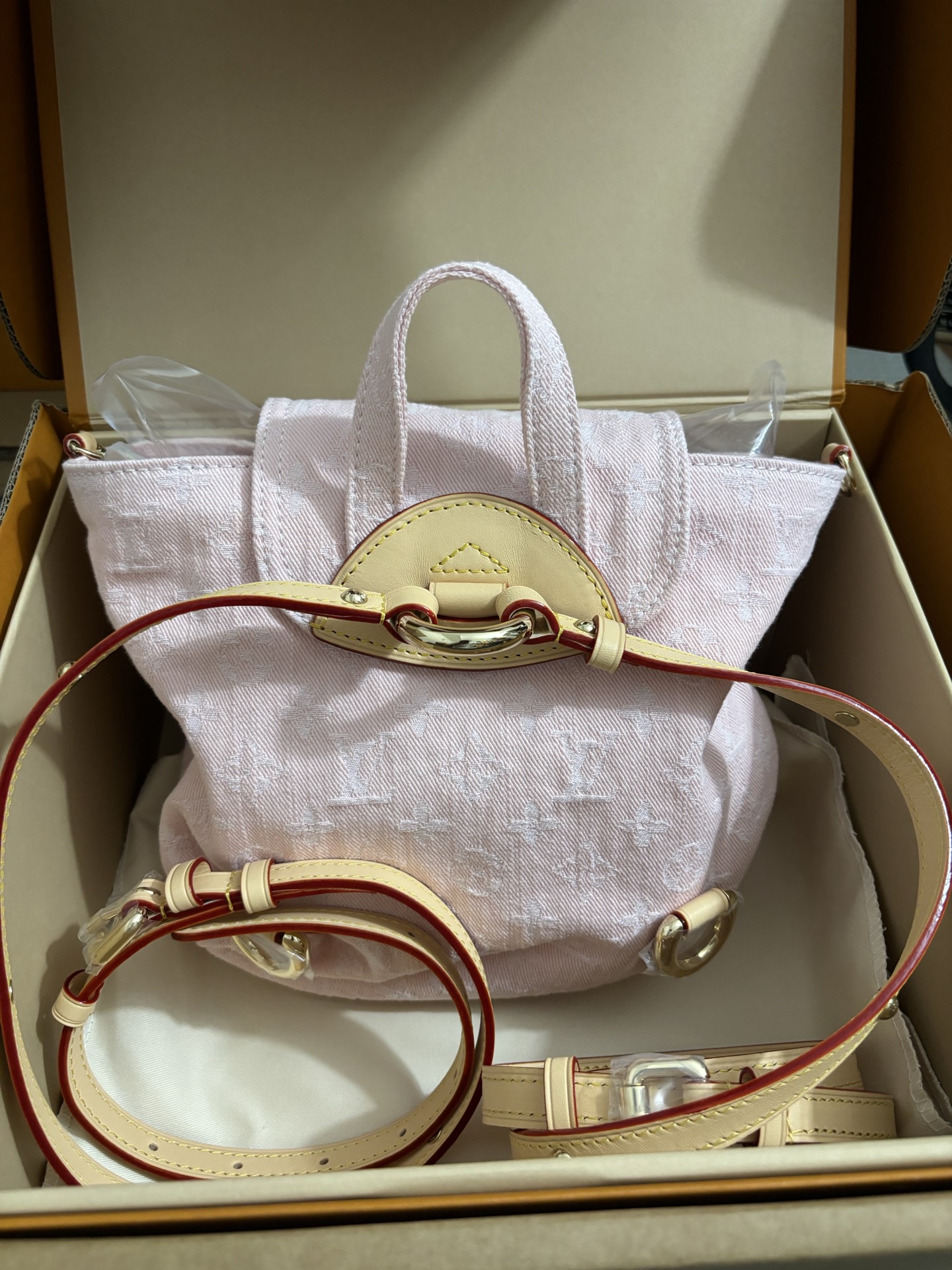 Louis Vuitton Venice Backpack