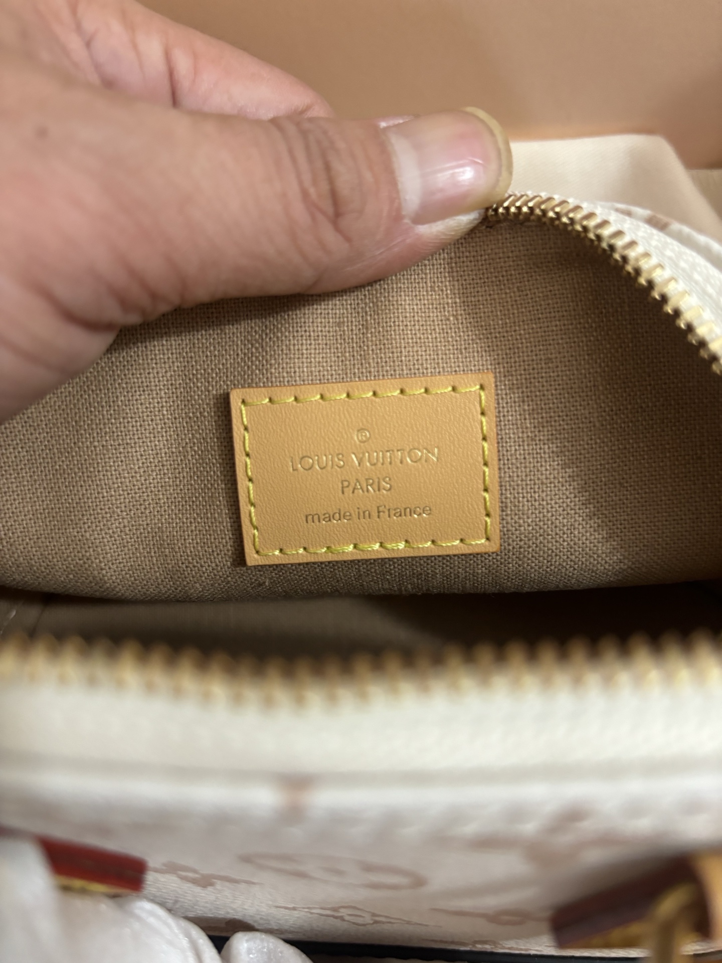 Louis Vuitton New Launch Nano Alma Handbag