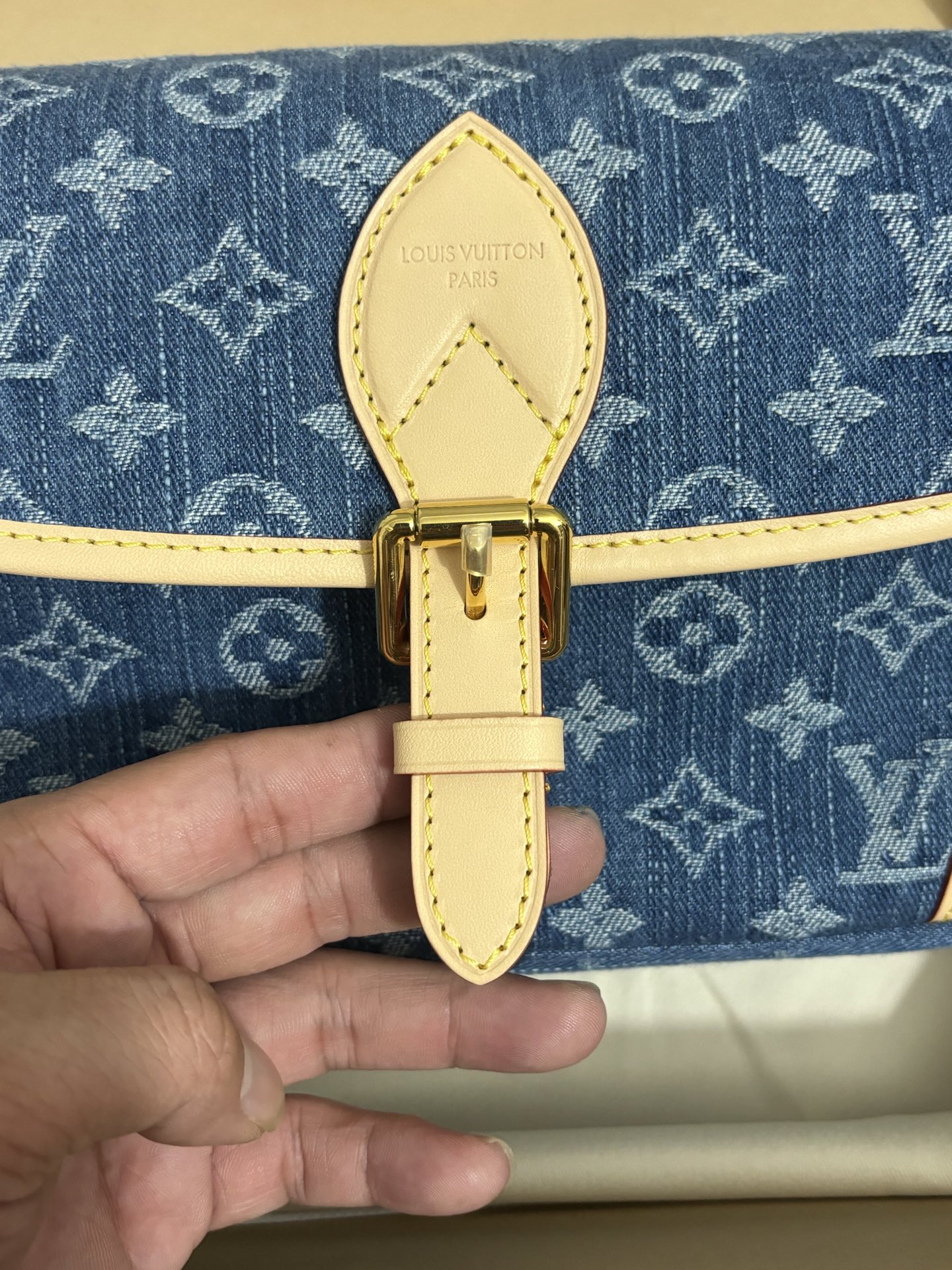 Louis Vuitton Diane handbag
