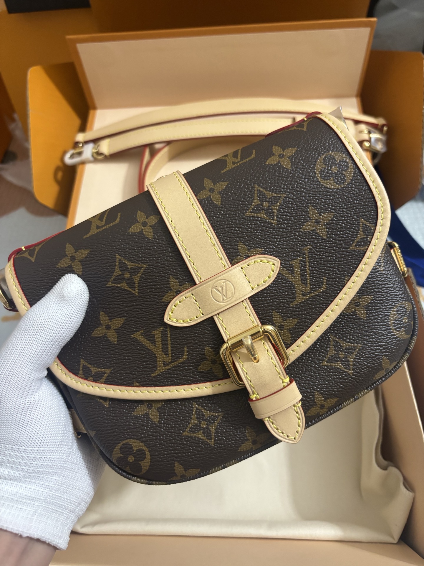 Louis Vuitton Twist bag