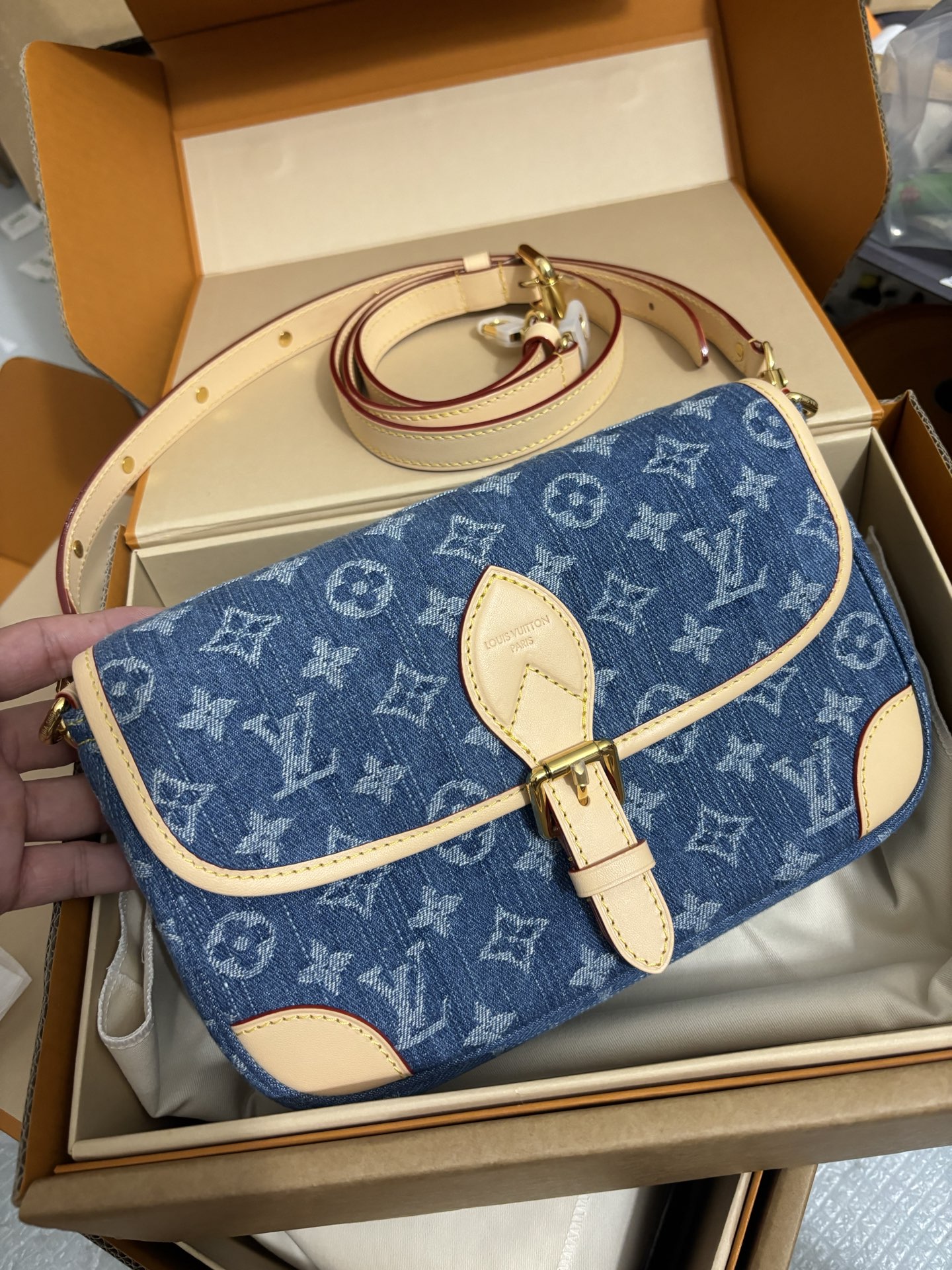 Louis Vuitton Diane handbag