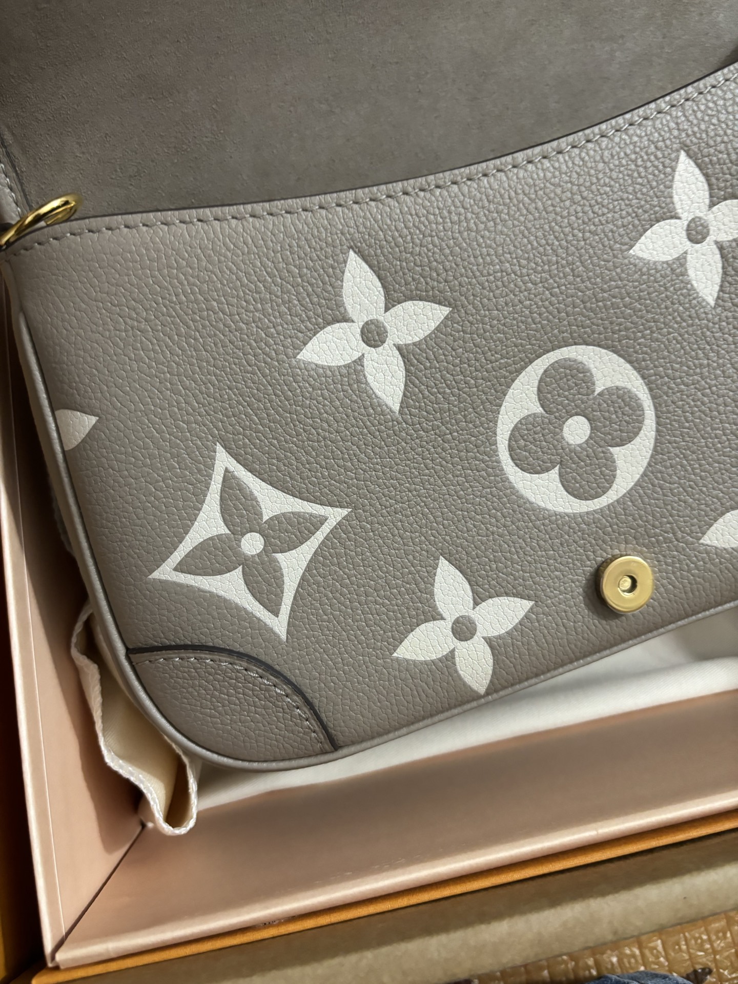 Louis Vuitton Baguette bag