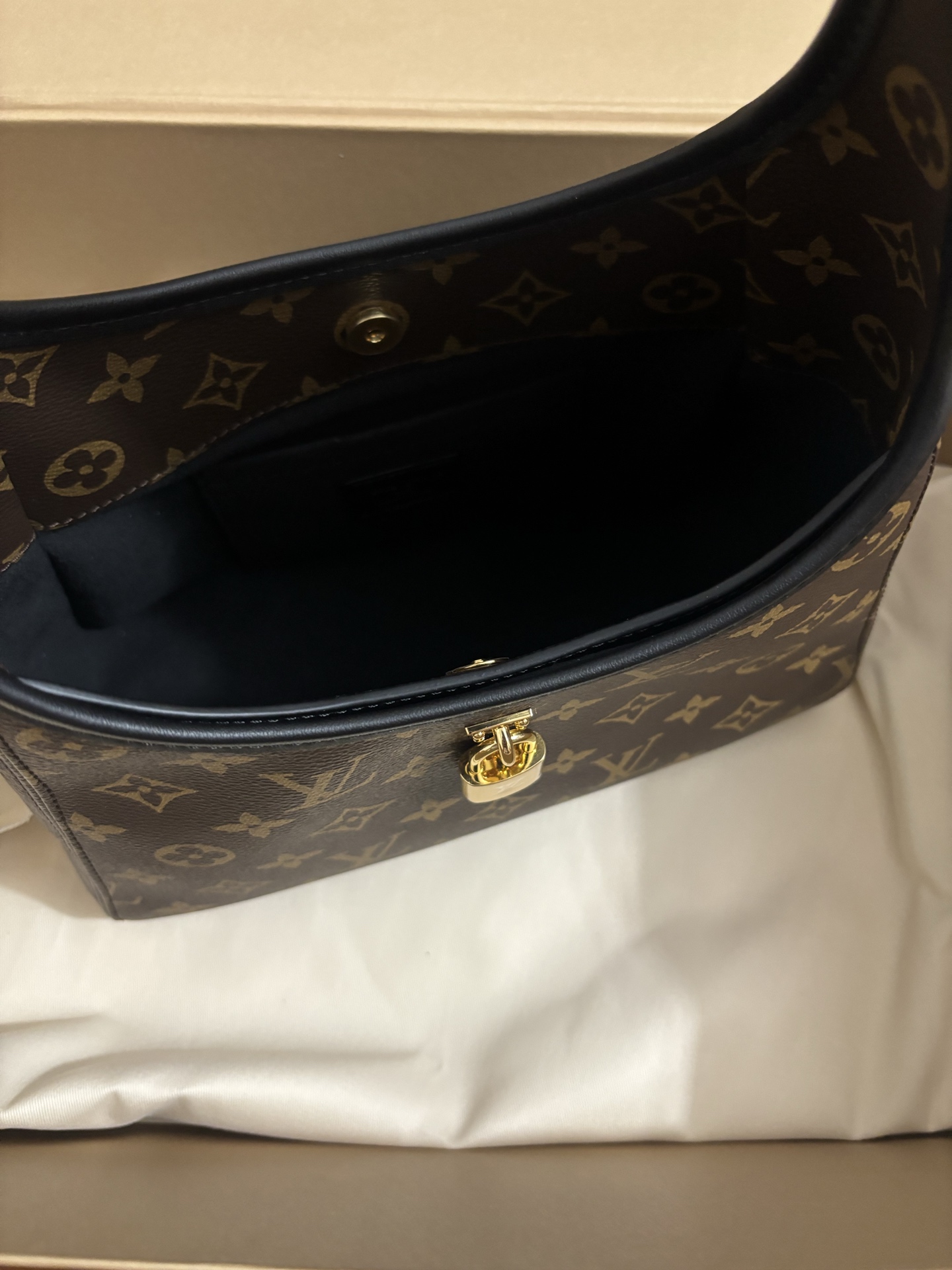 Louis Vuitton The Drop Small Handbag