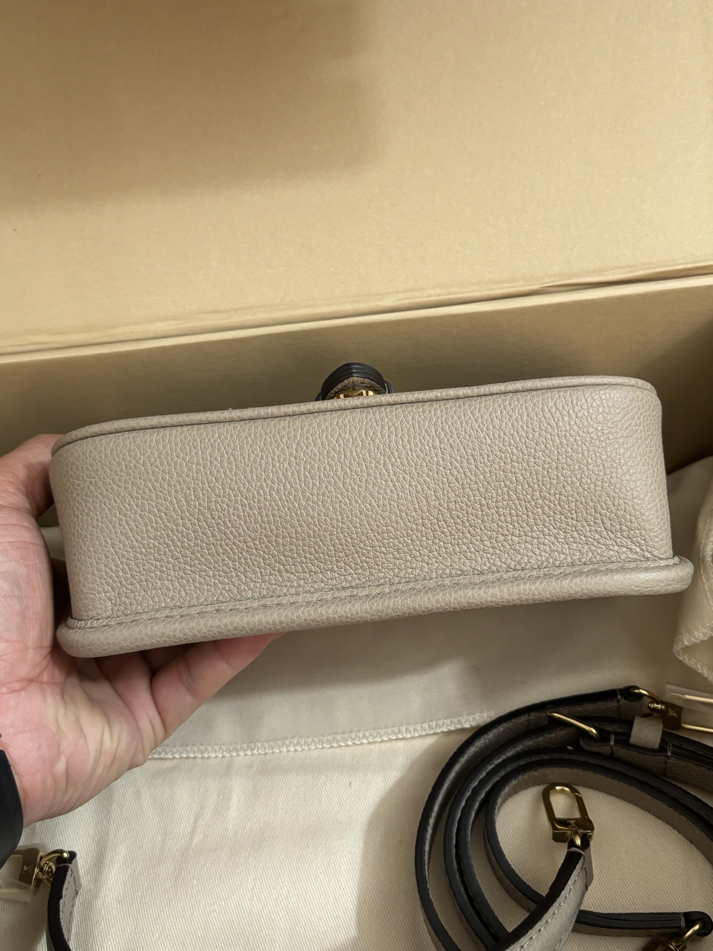 Louis Vuitton Nano Diane Handbag