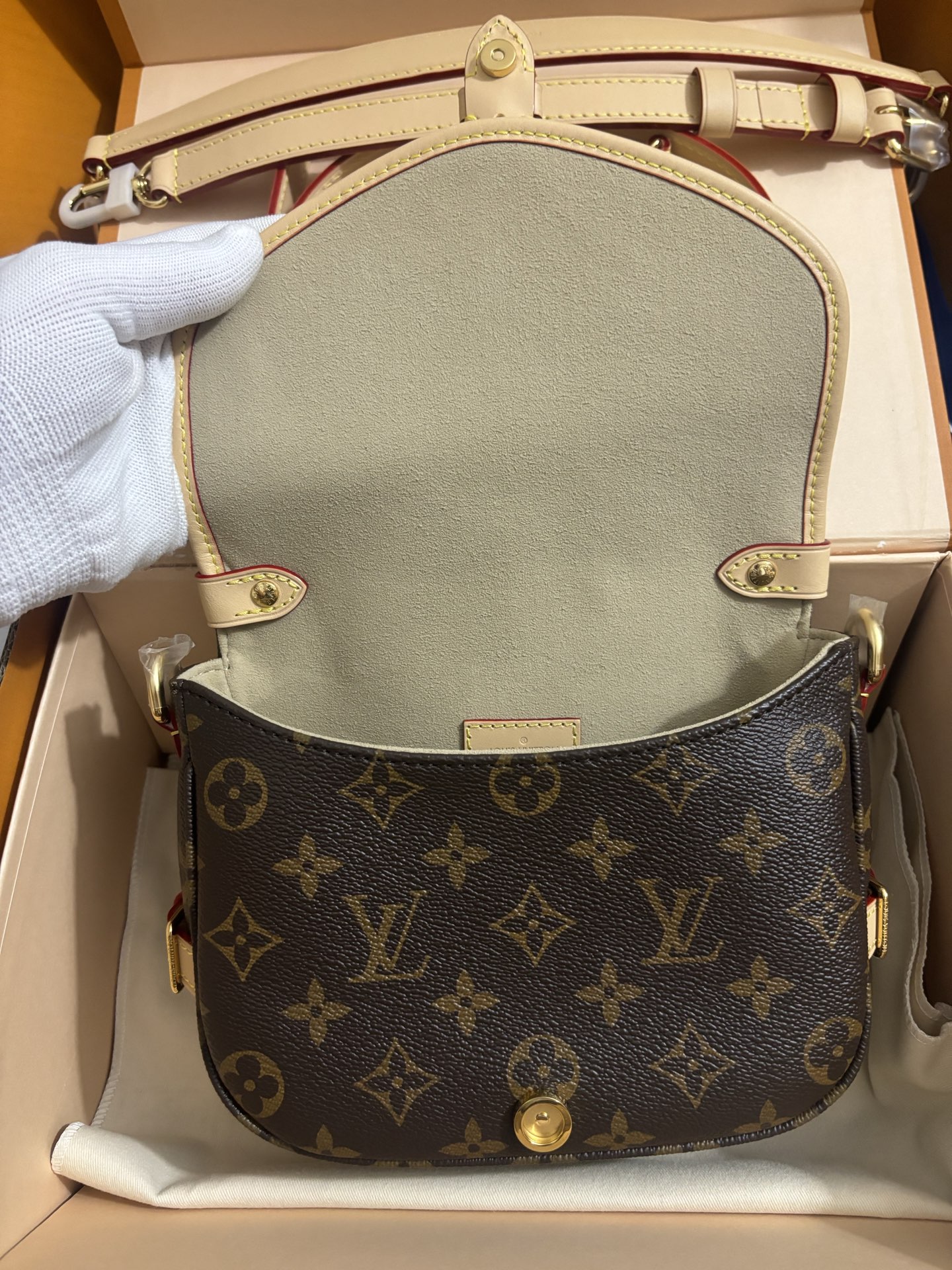 Louis Vuitton Twist bag