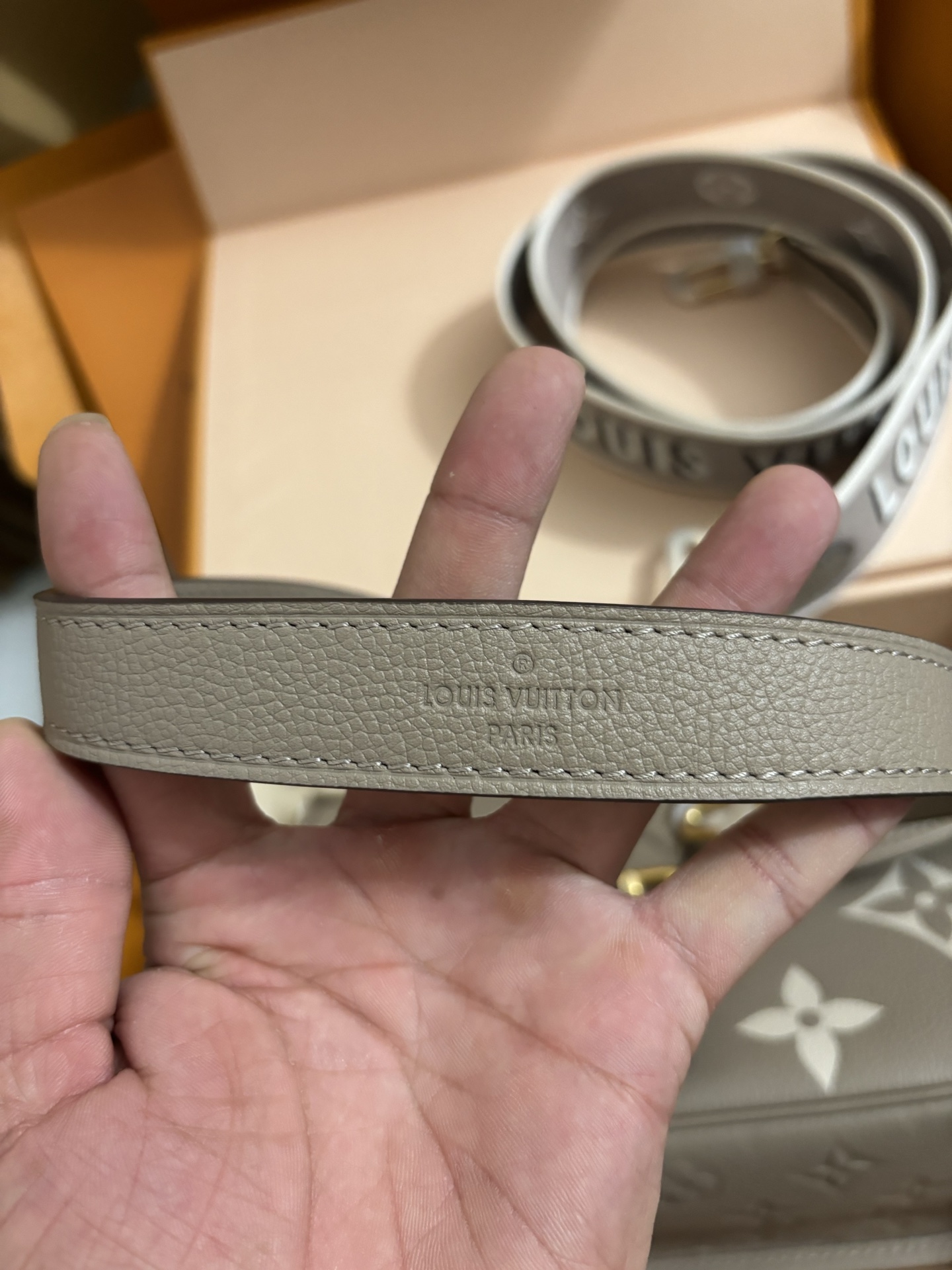 Louis Vuitton Baguette bag