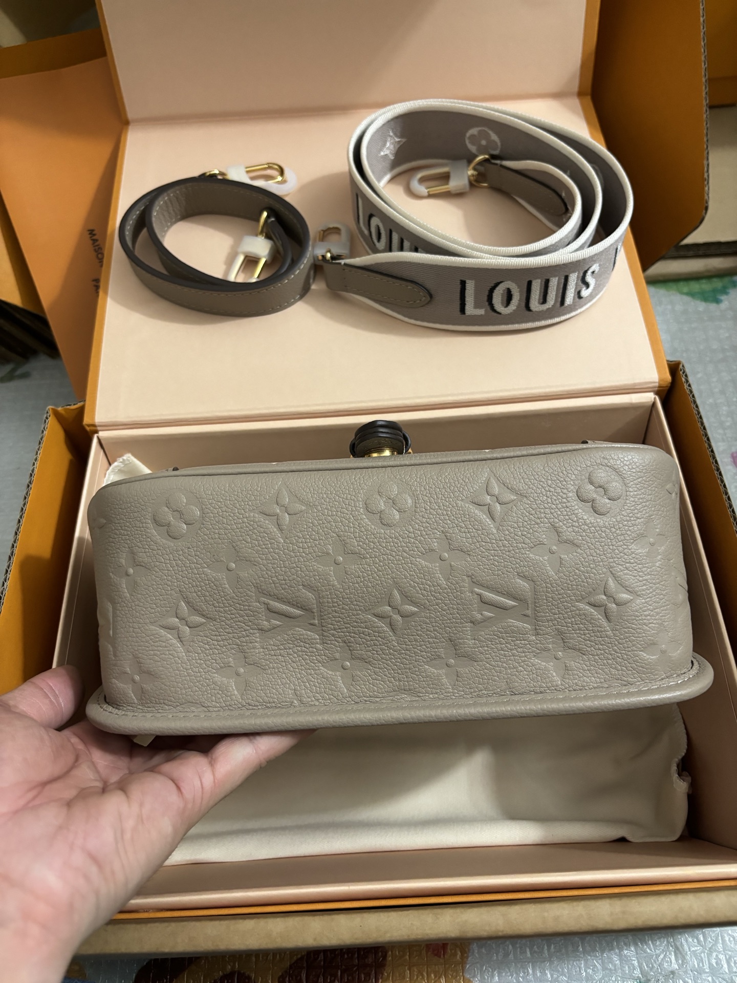 Louis Vuitton Baguette bag
