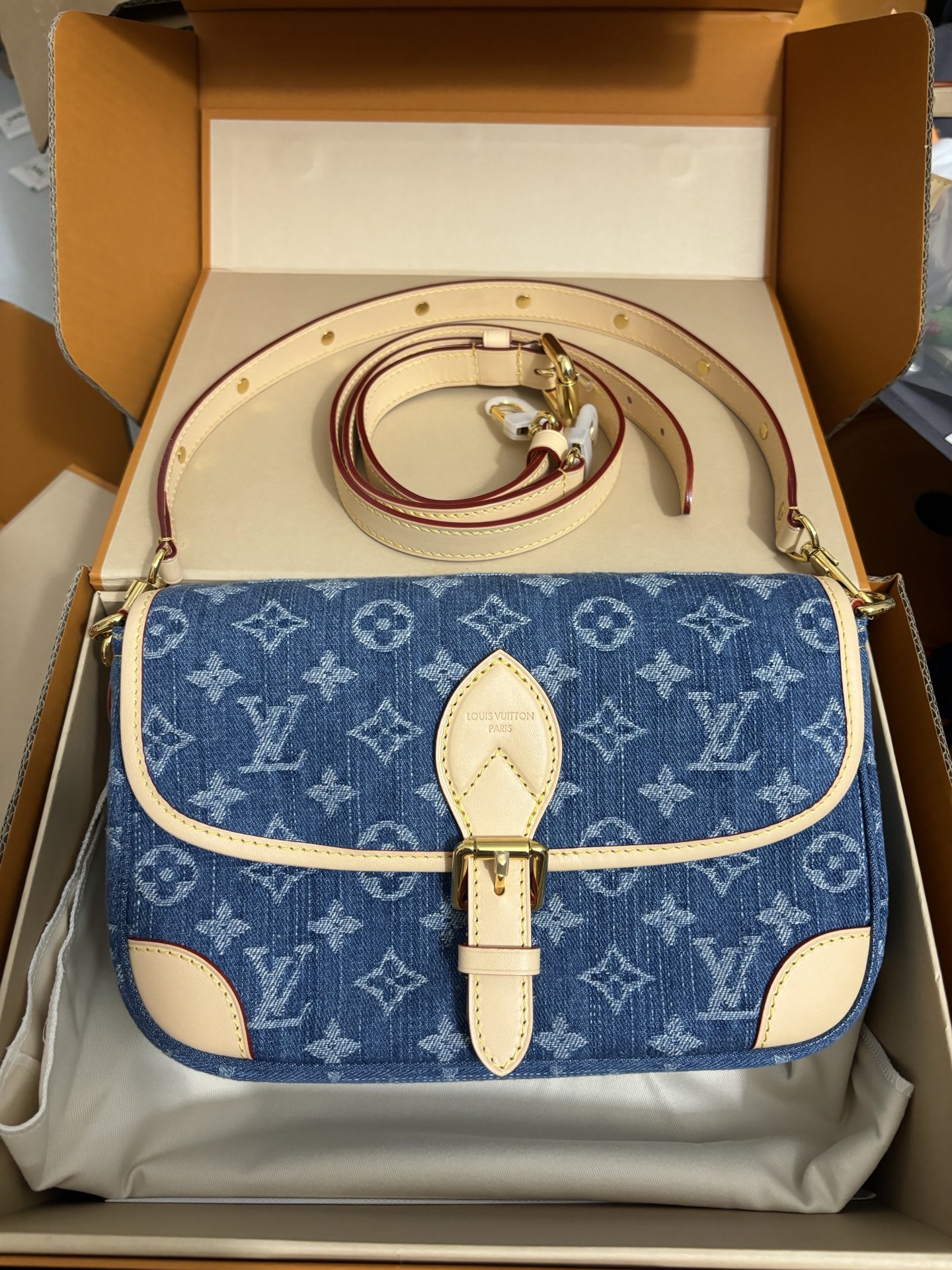 Louis Vuitton Diane handbag