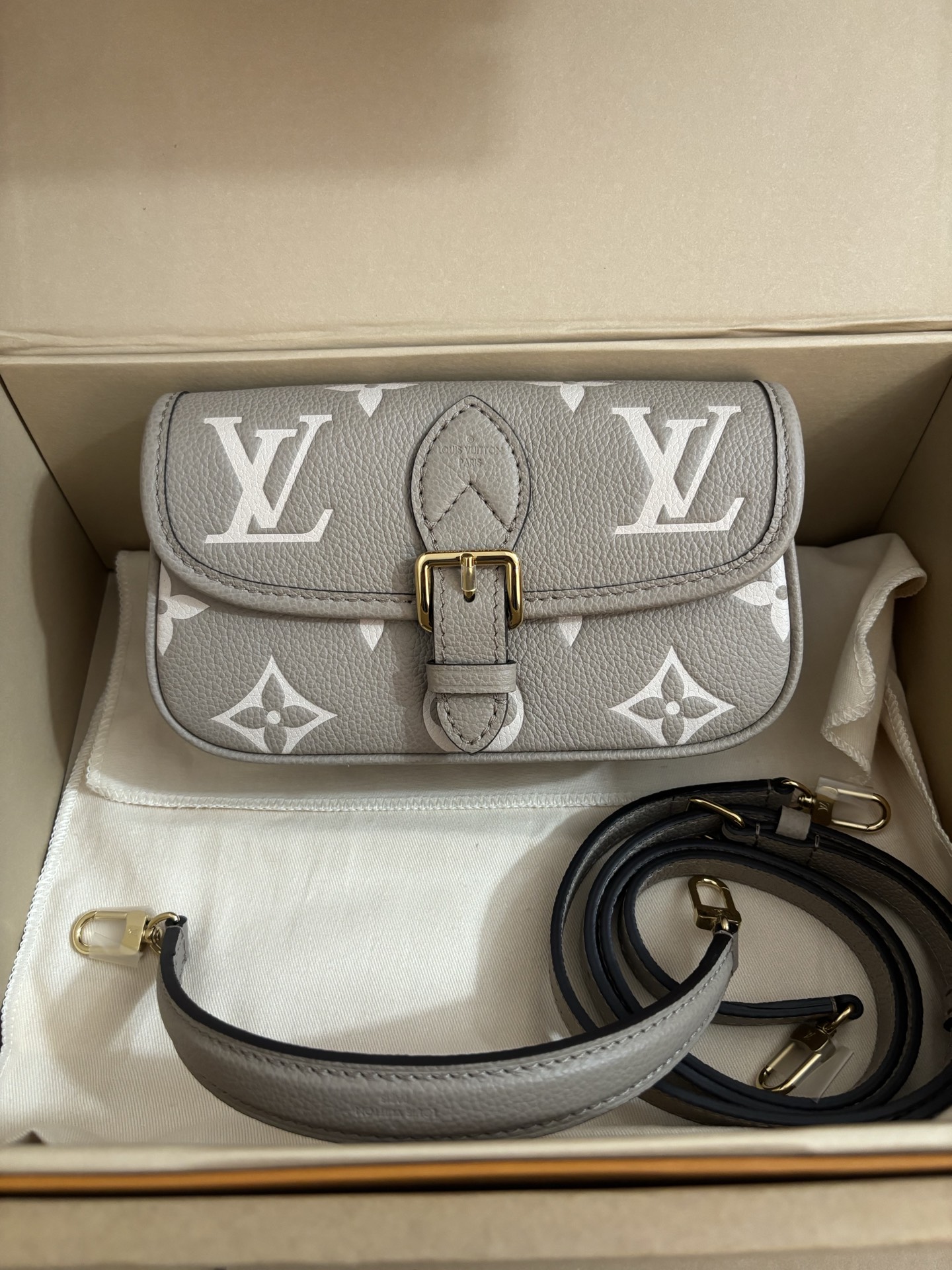Louis Vuitton Nano Diane Handbag