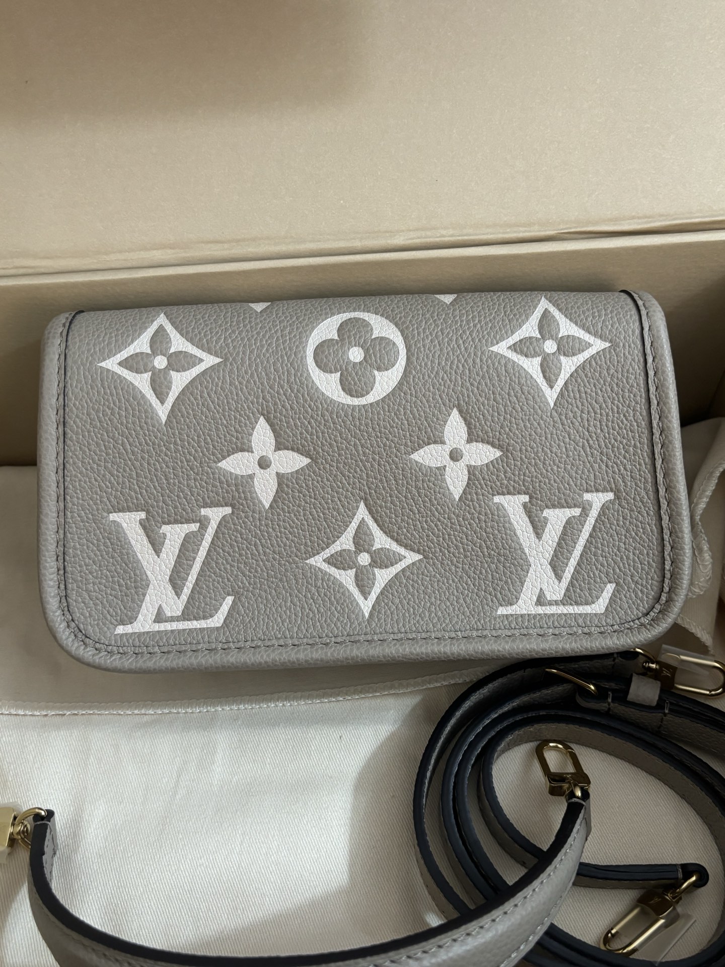 Louis Vuitton Nano Diane Handbag