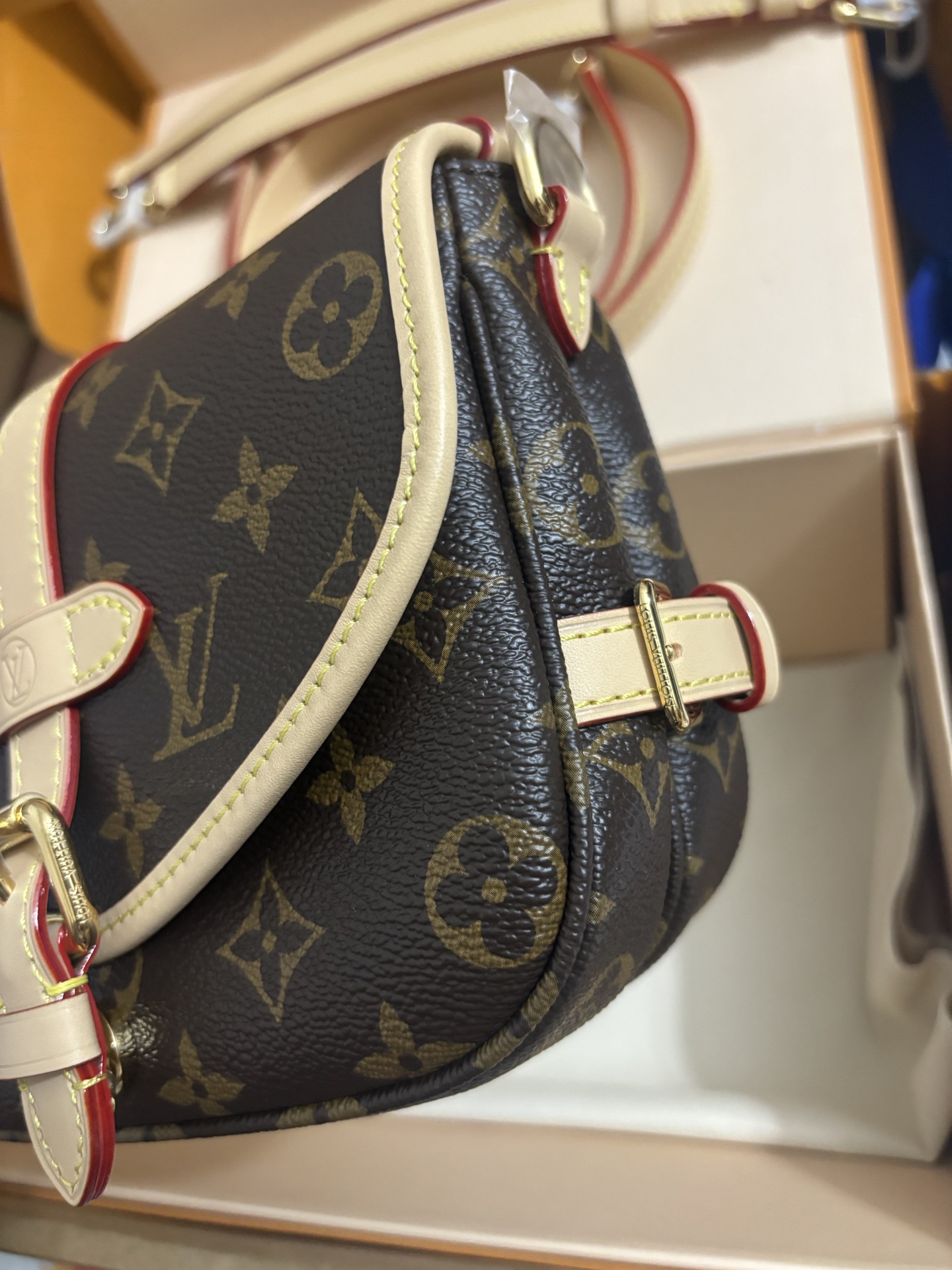 Louis Vuitton Twist bag