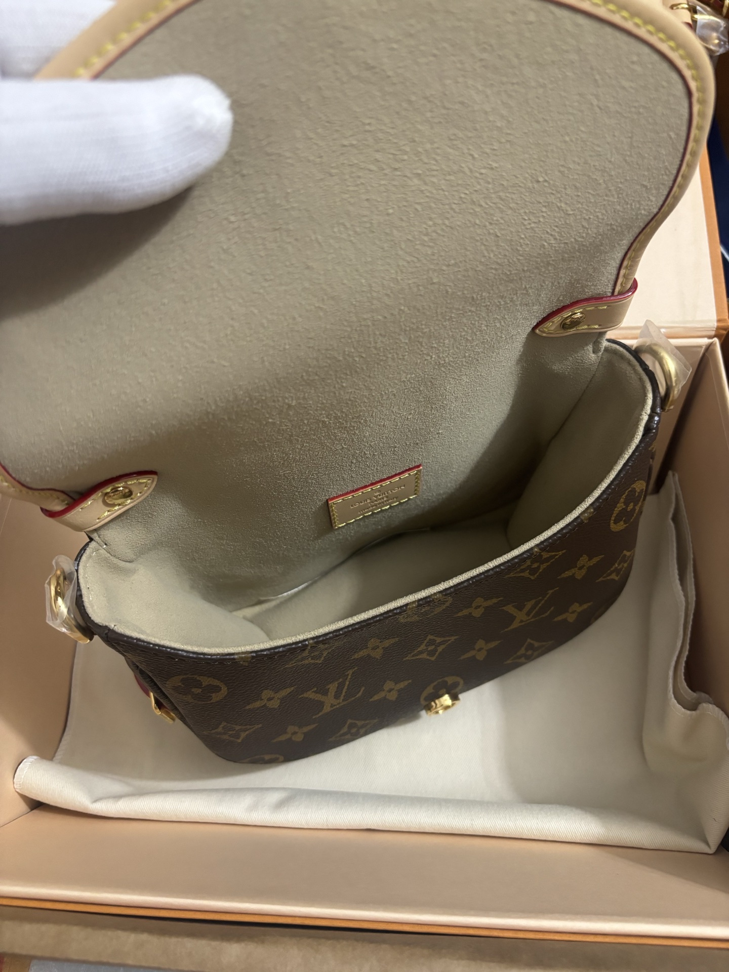 Louis Vuitton Twist bag
