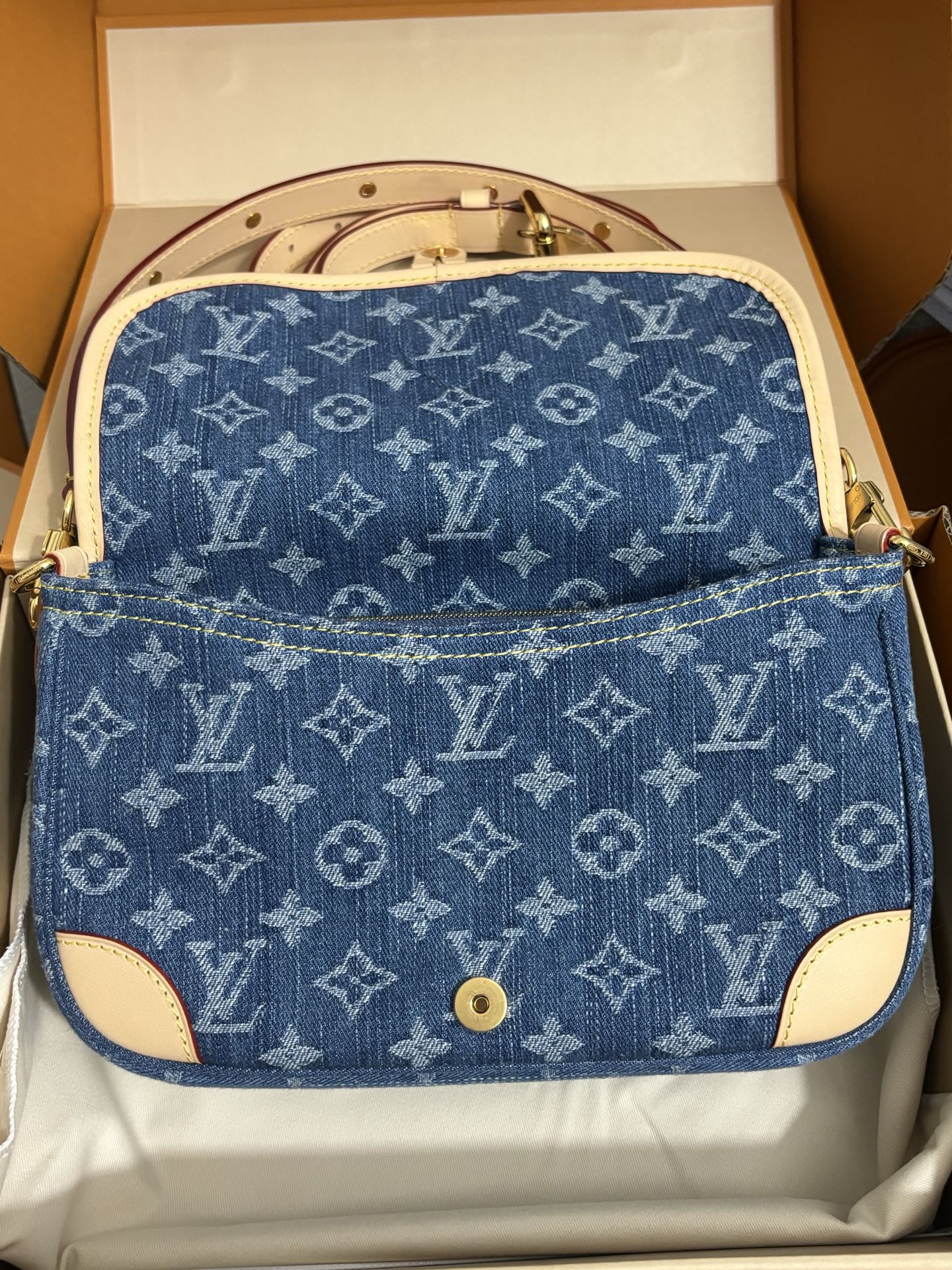 Louis Vuitton Diane handbag