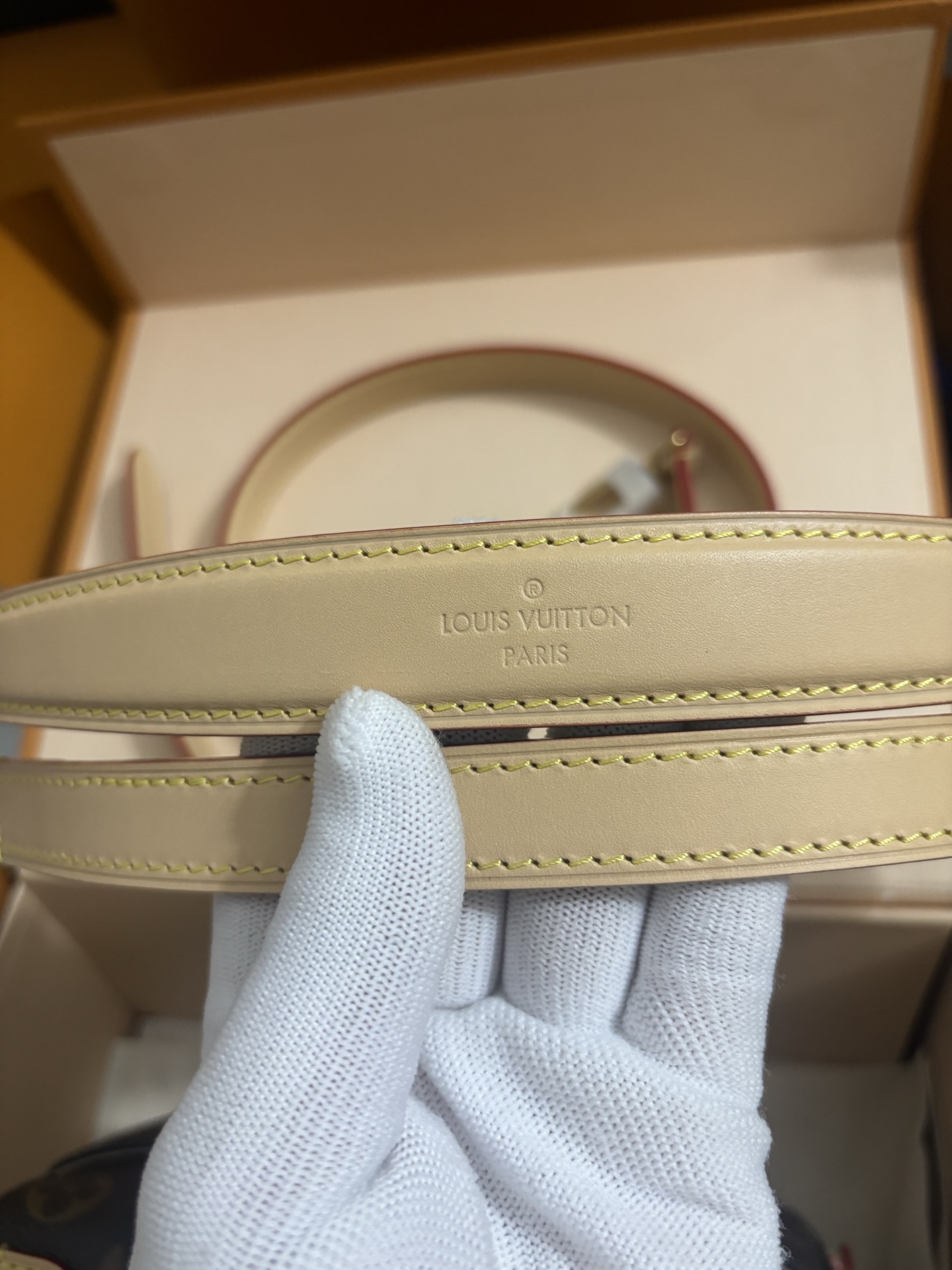 Louis Vuitton Twist bag