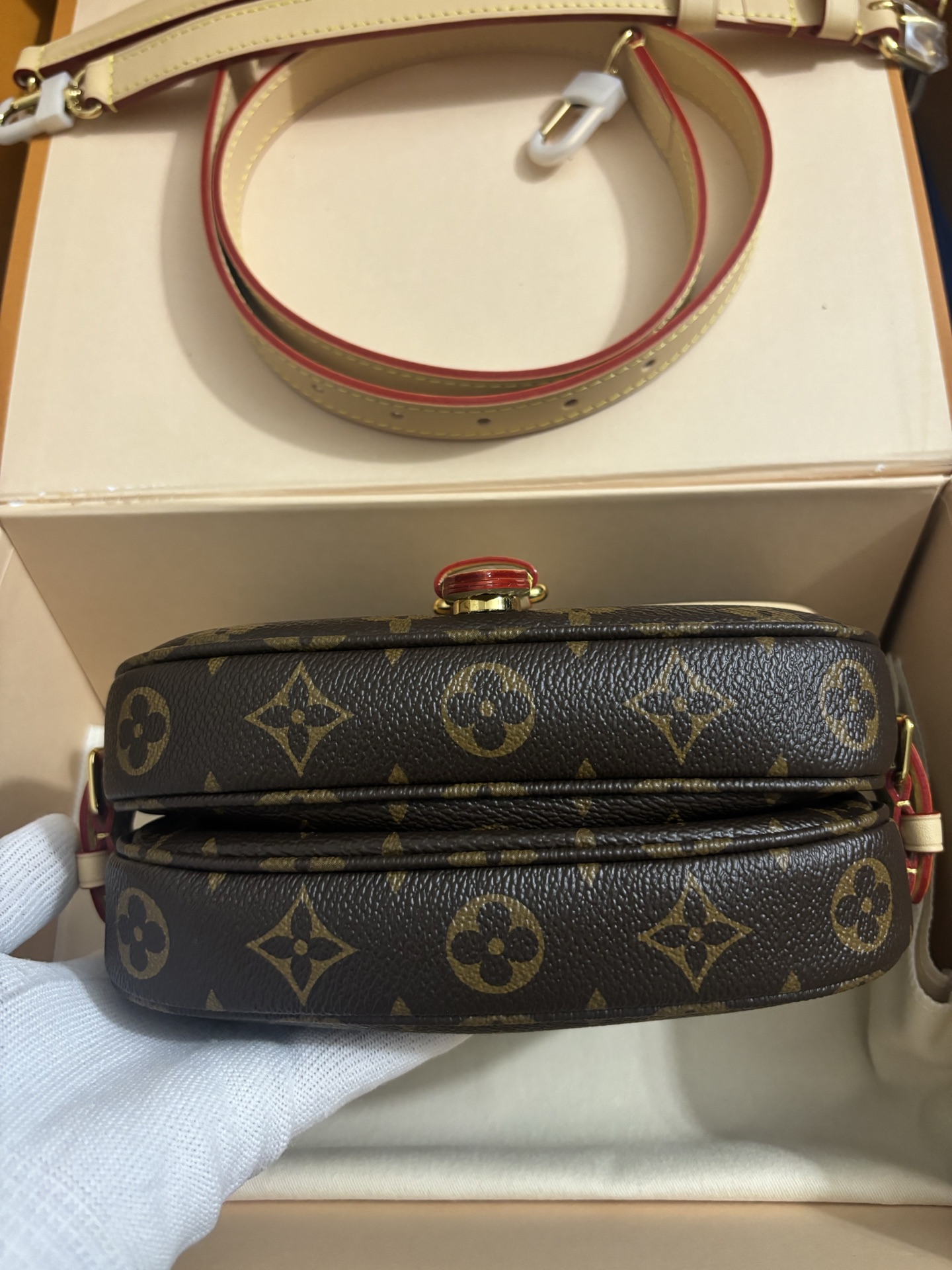 Louis Vuitton Twist bag