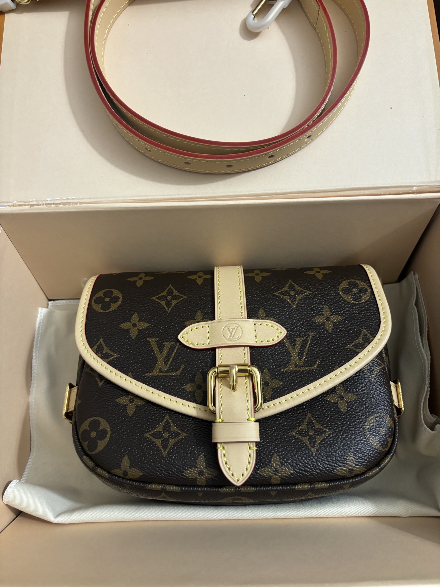 Louis Vuitton Twist bag