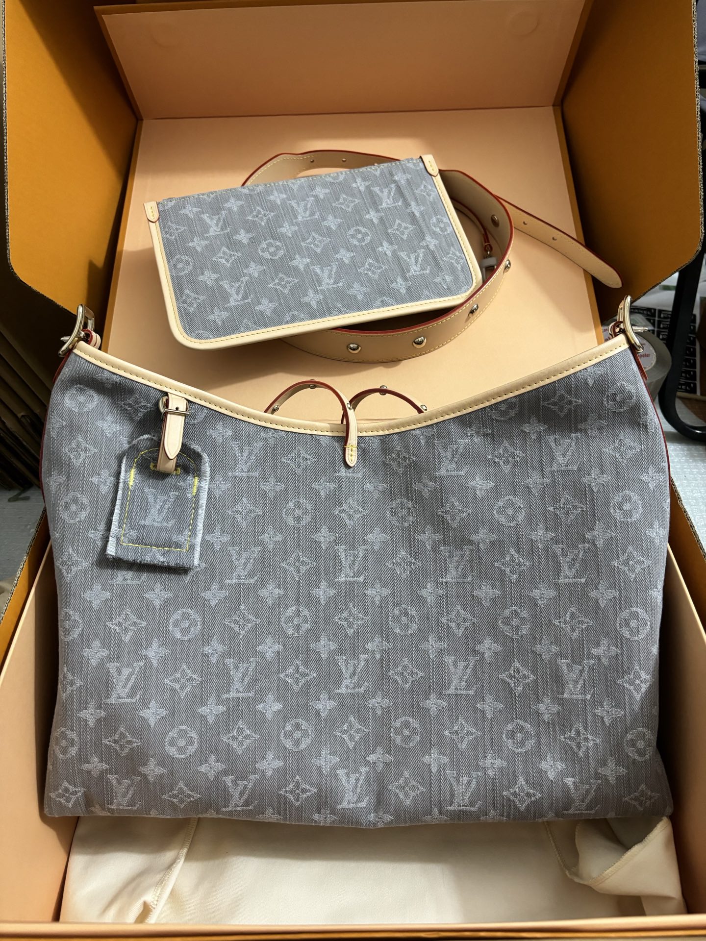 Louis Vuitton CarryAll Medium Bag