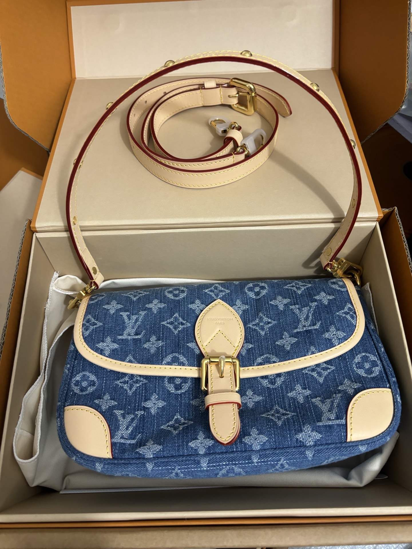 Louis Vuitton Diane handbag