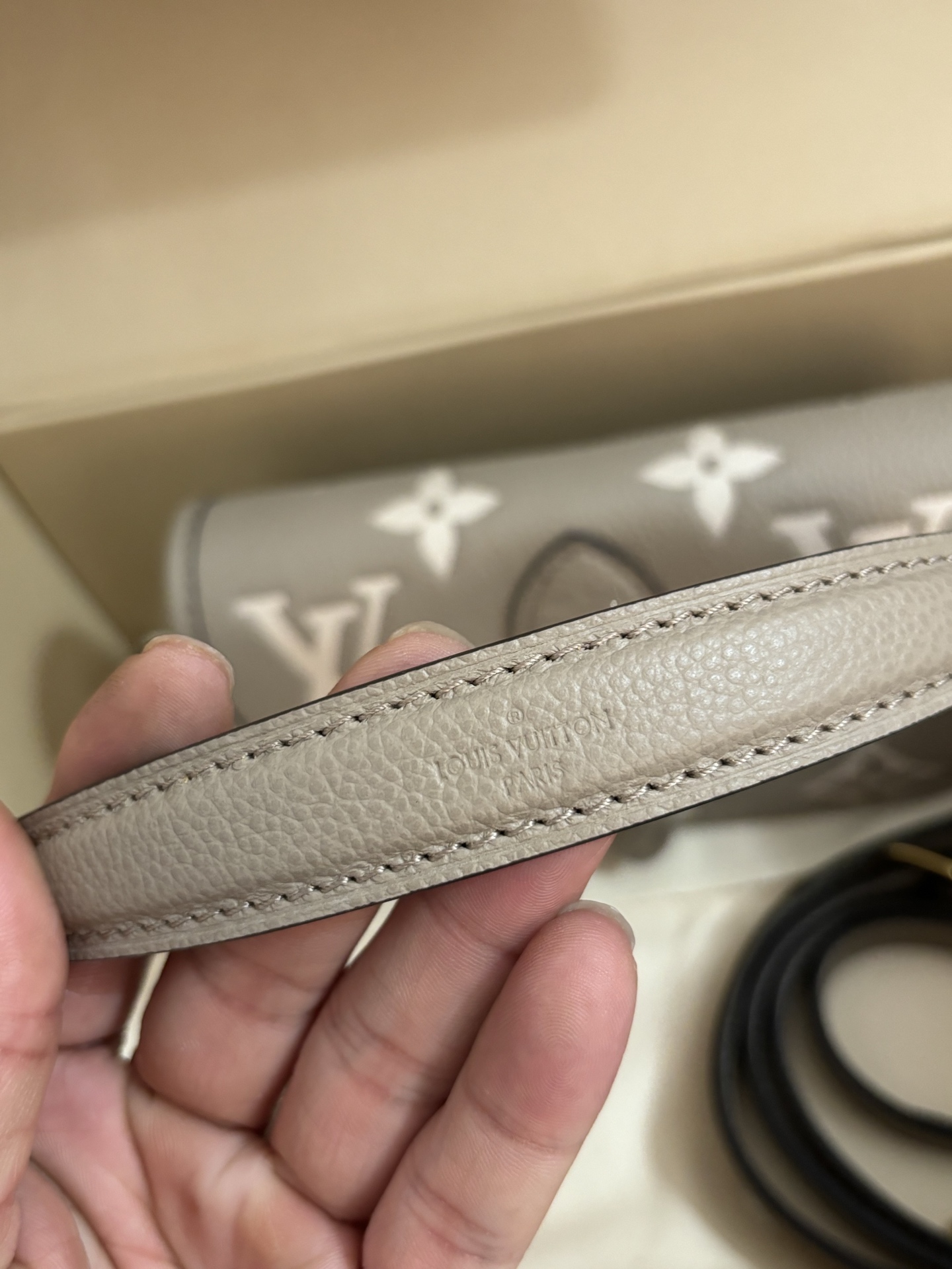 Louis Vuitton Nano Diane Handbag