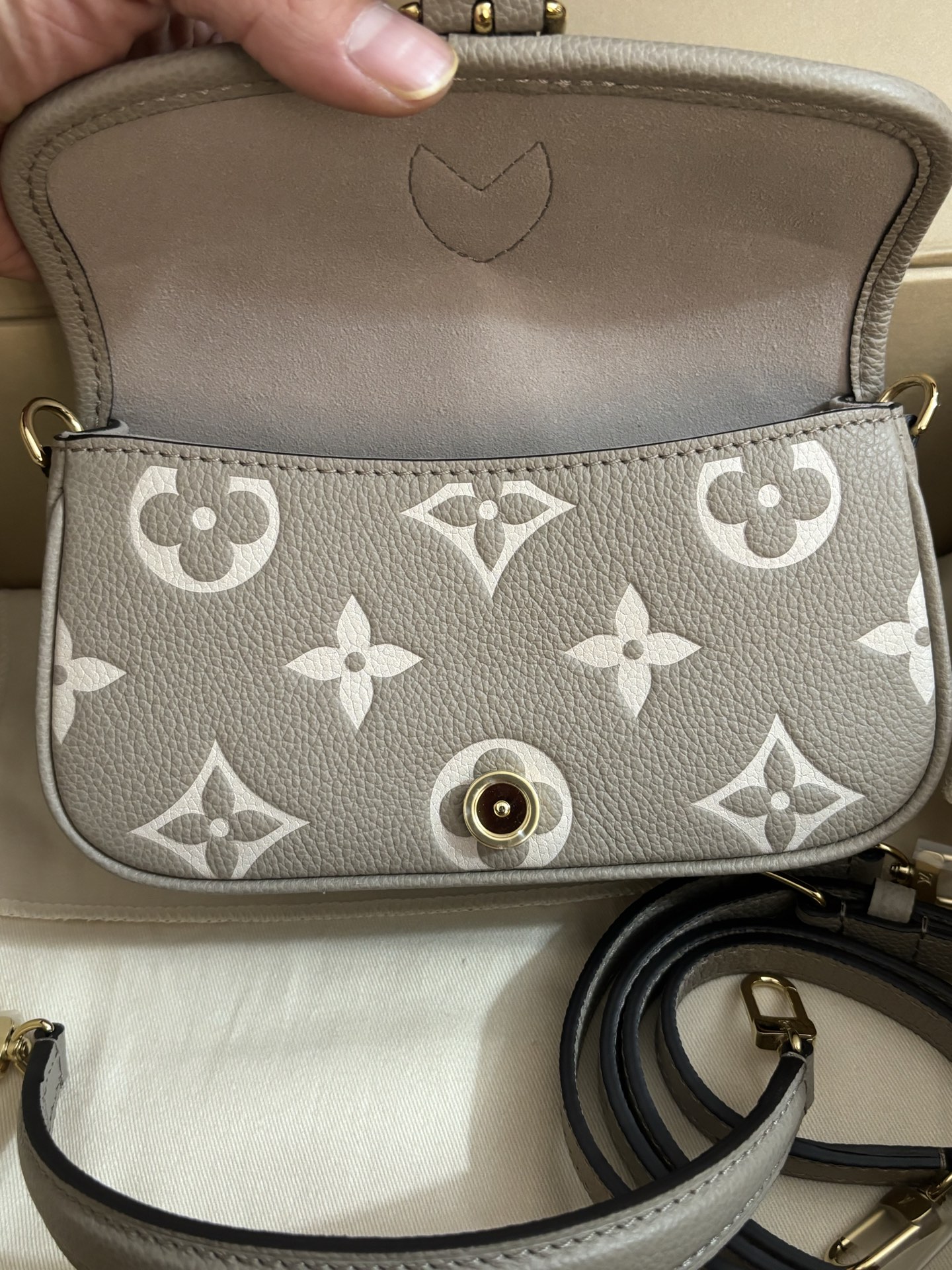 Louis Vuitton Nano Diane Handbag