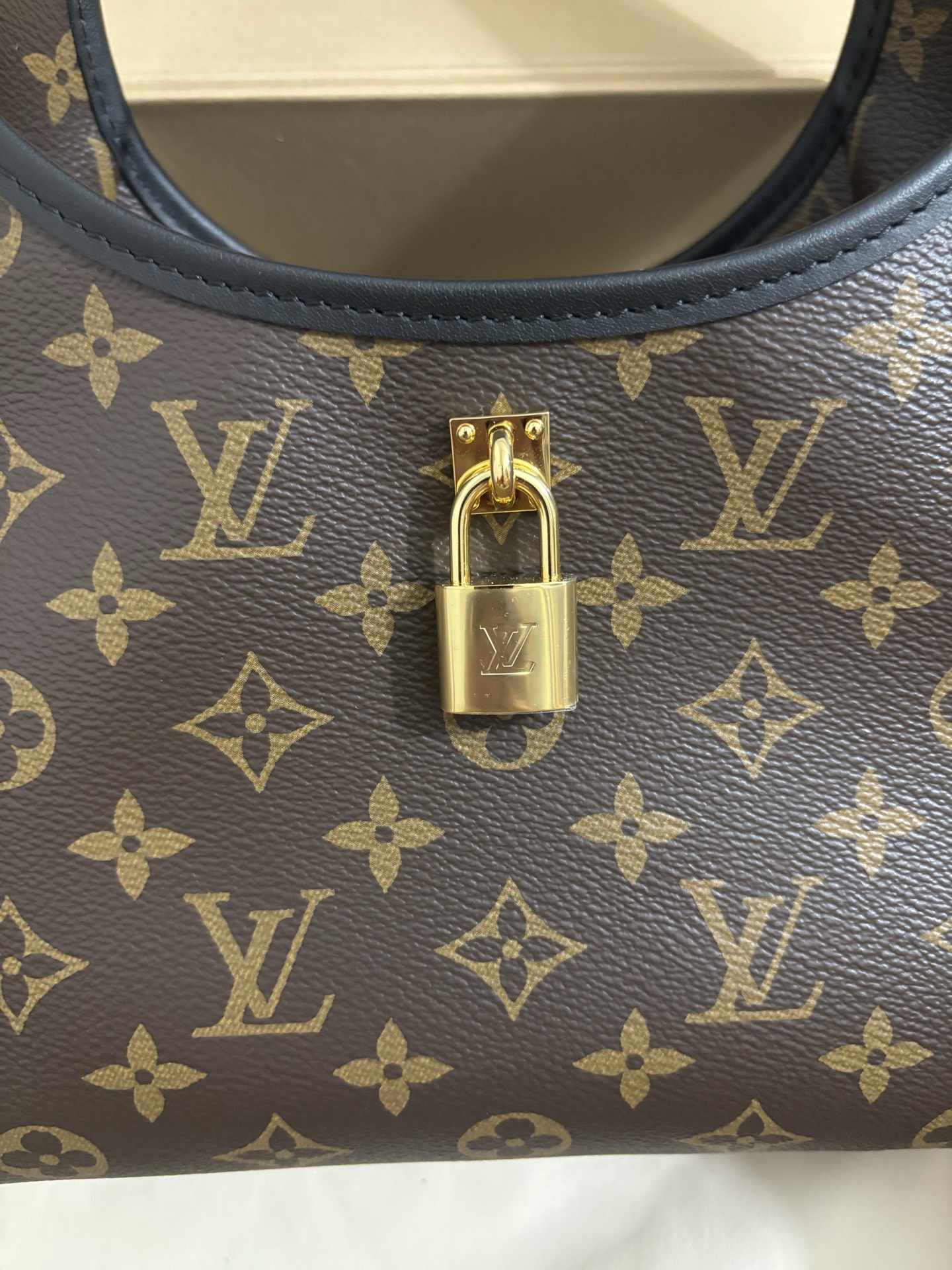 Louis Vuitton The Drop Small Handbag