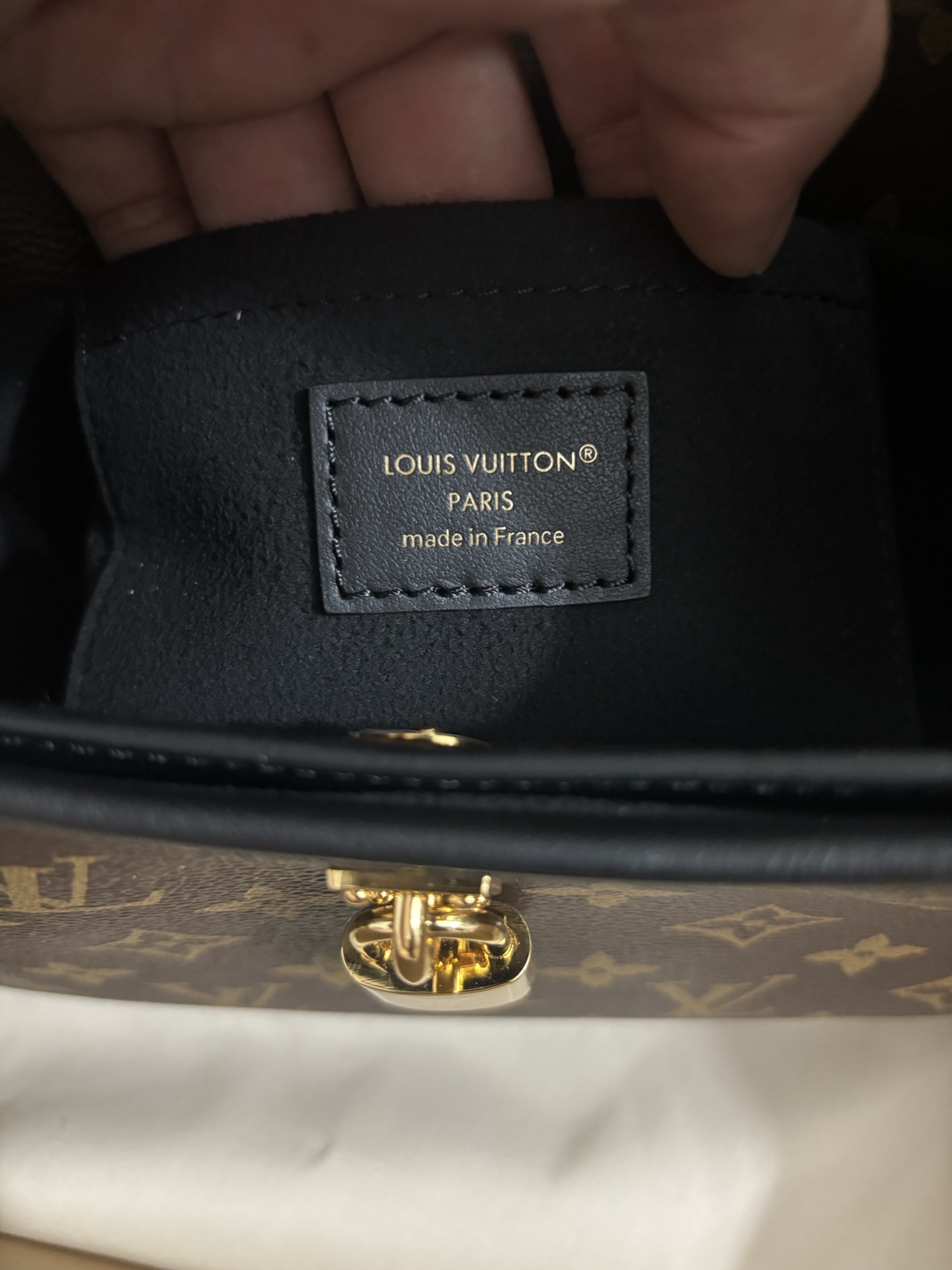 Louis Vuitton The Drop Small Handbag