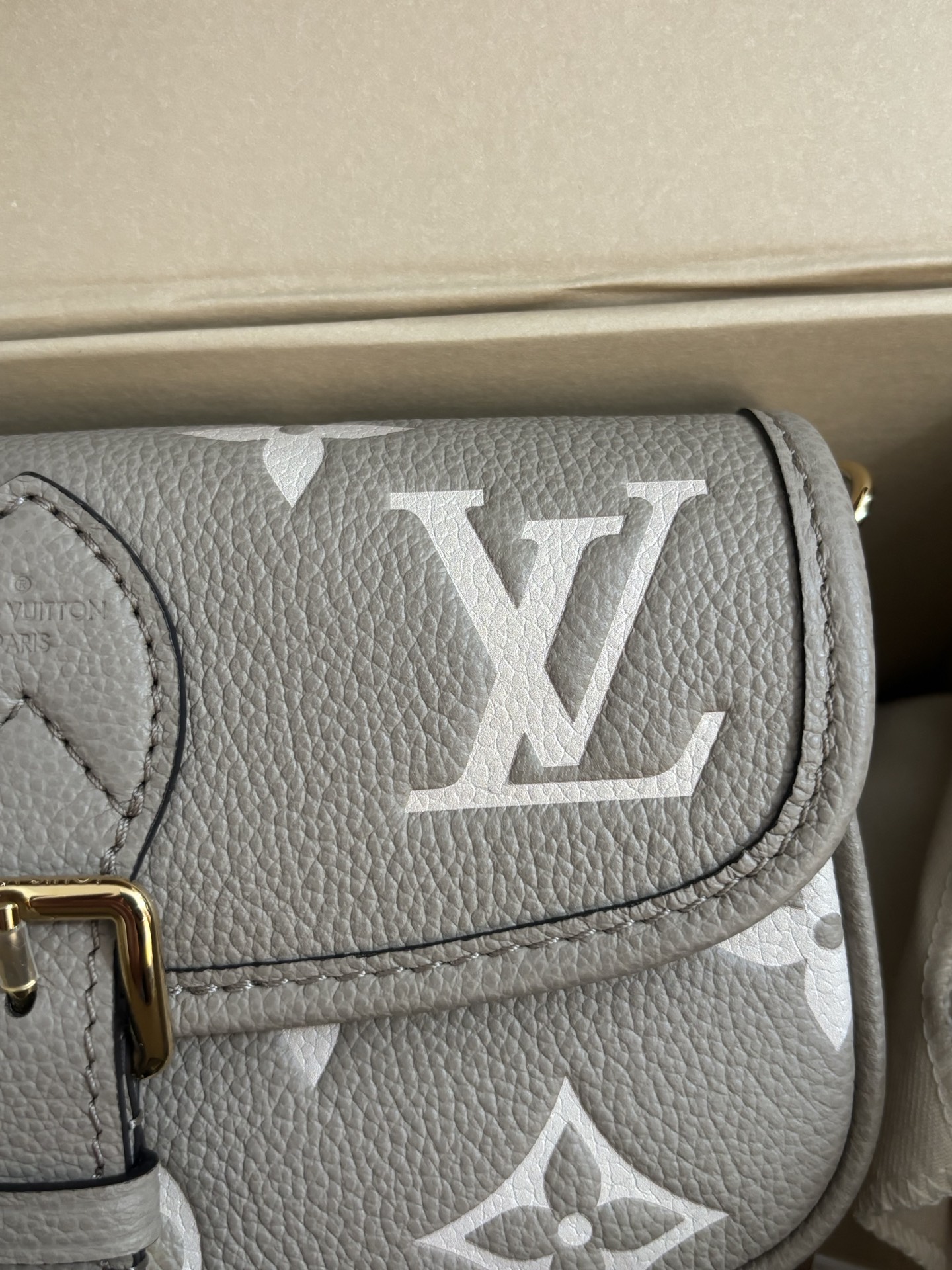 Louis Vuitton Nano Diane Handbag