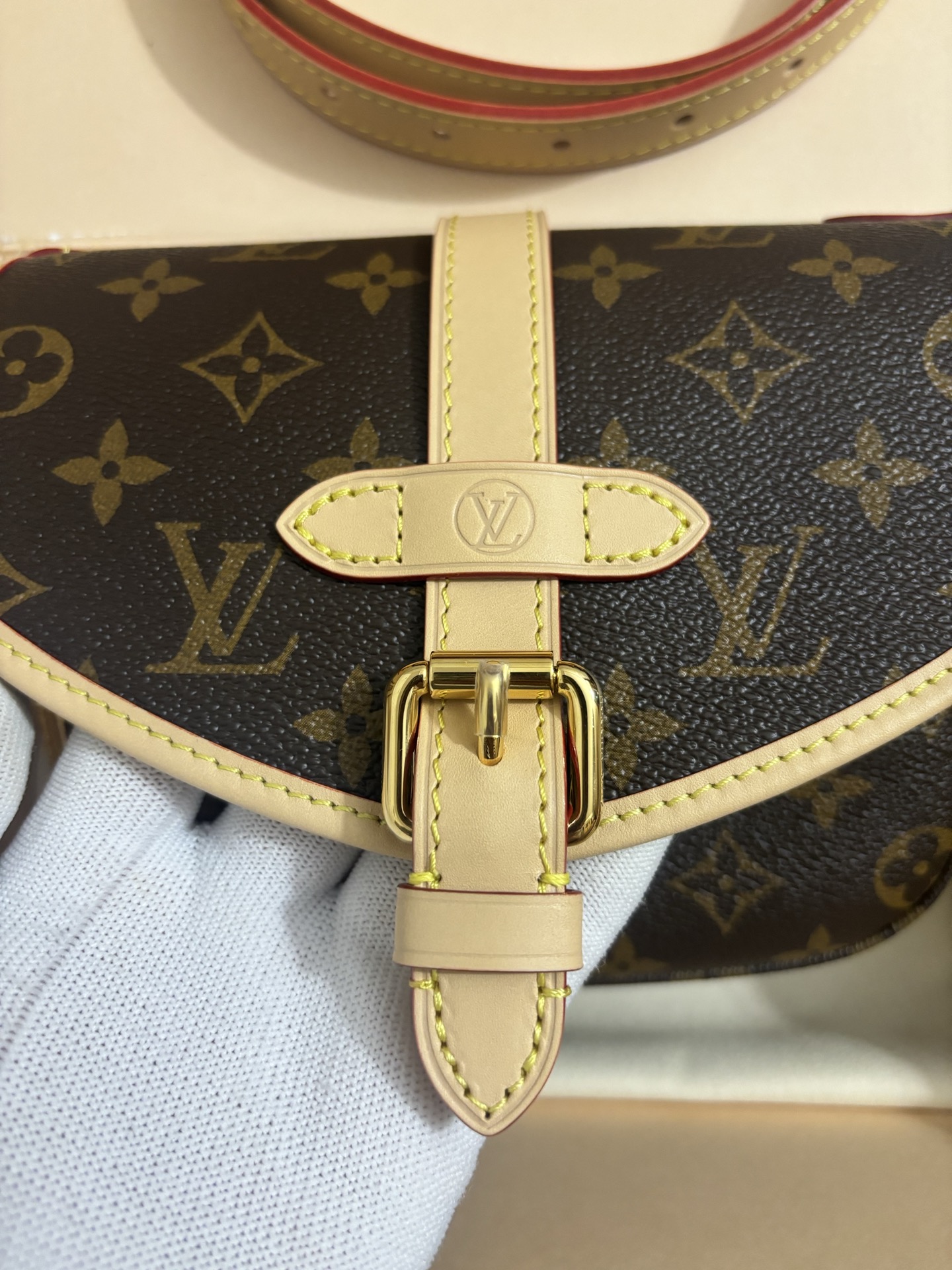 Louis Vuitton Twist bag