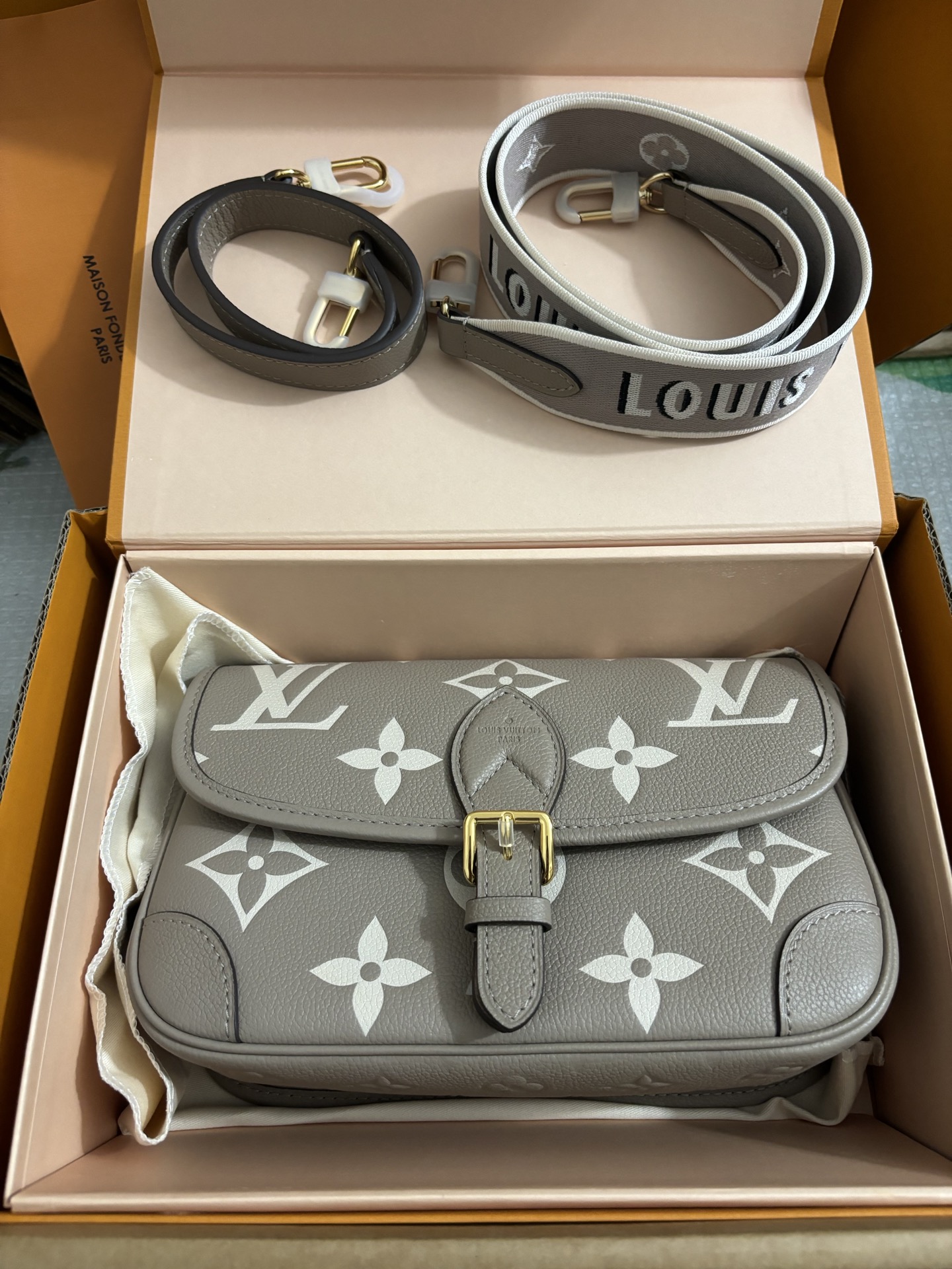 Louis Vuitton Baguette bag