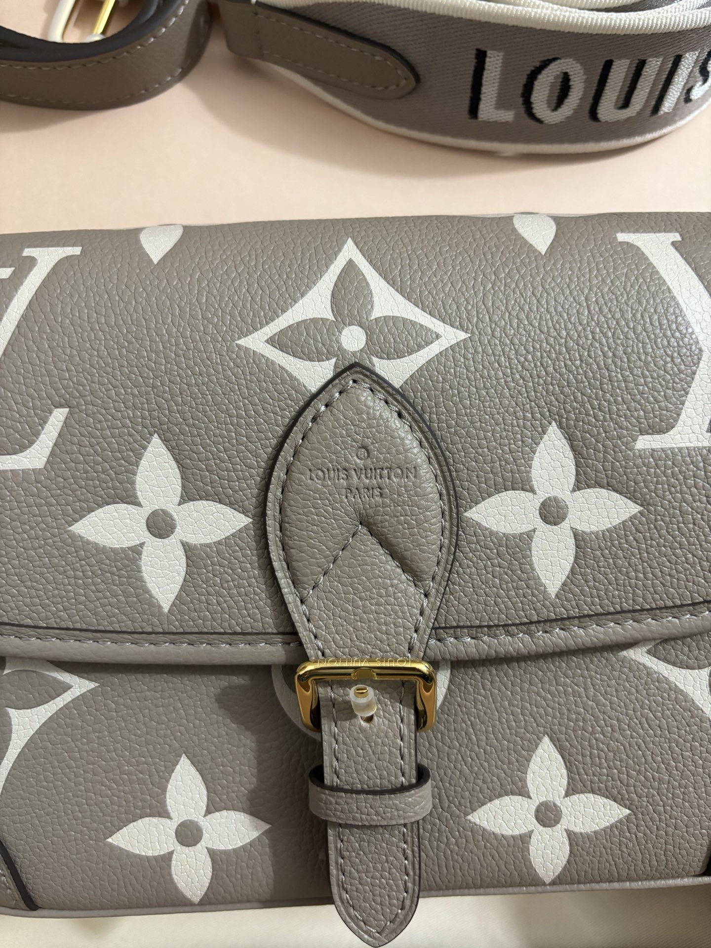 Louis Vuitton Baguette bag