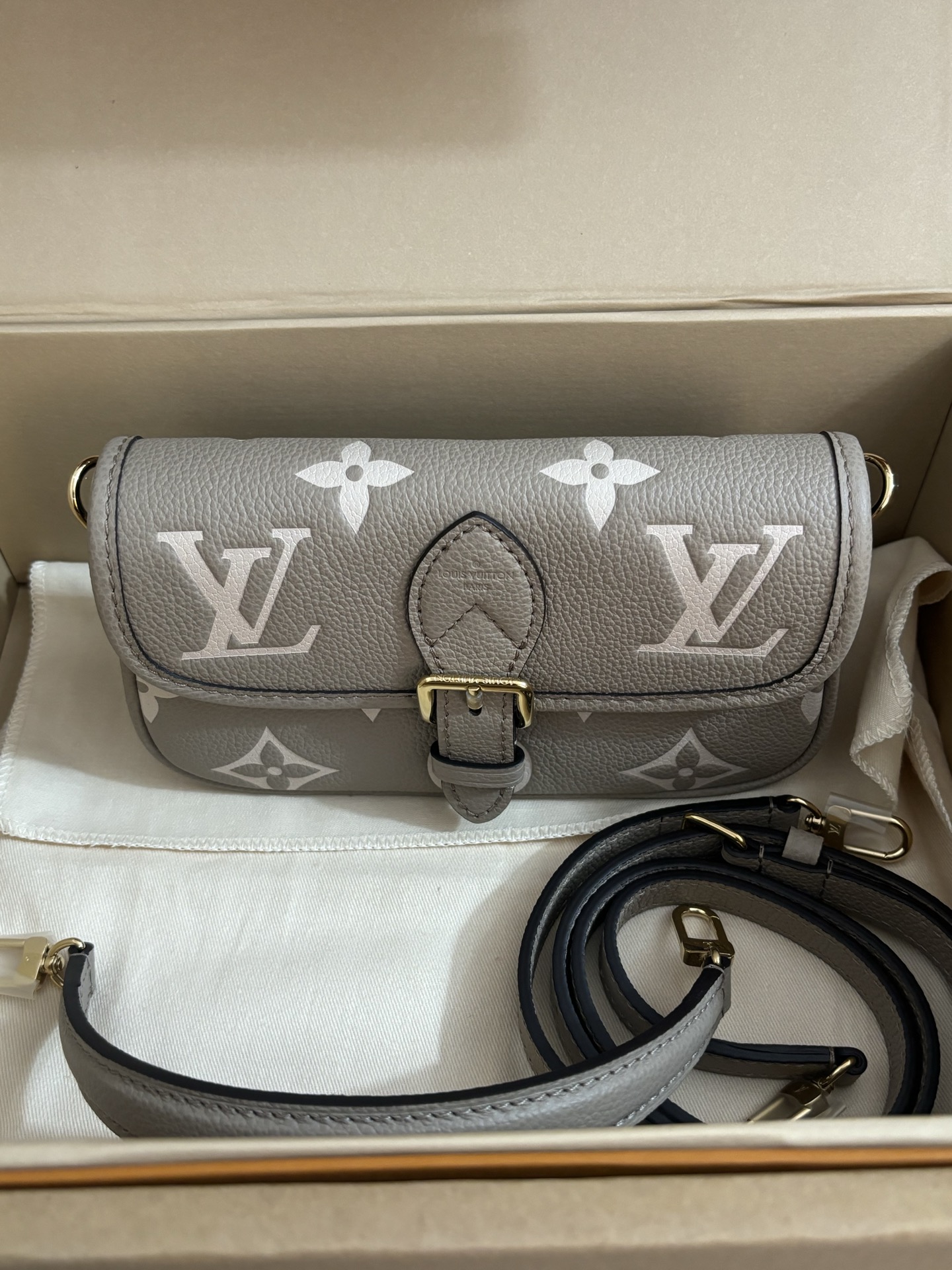 Louis Vuitton Nano Diane Handbag