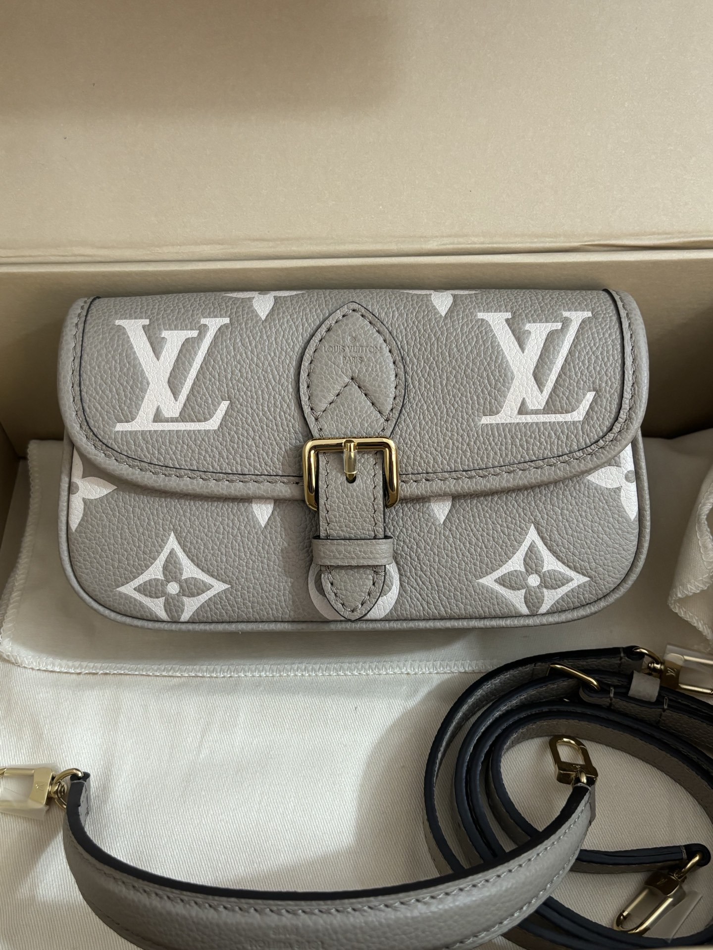 Louis Vuitton Nano Diane Handbag
