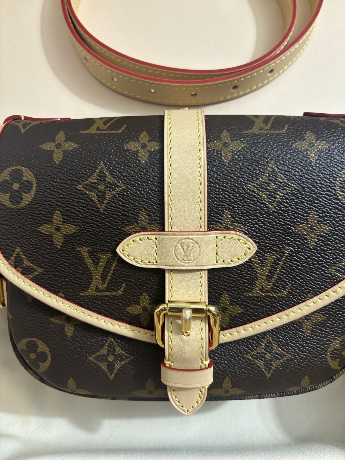 Louis Vuitton Twist bag