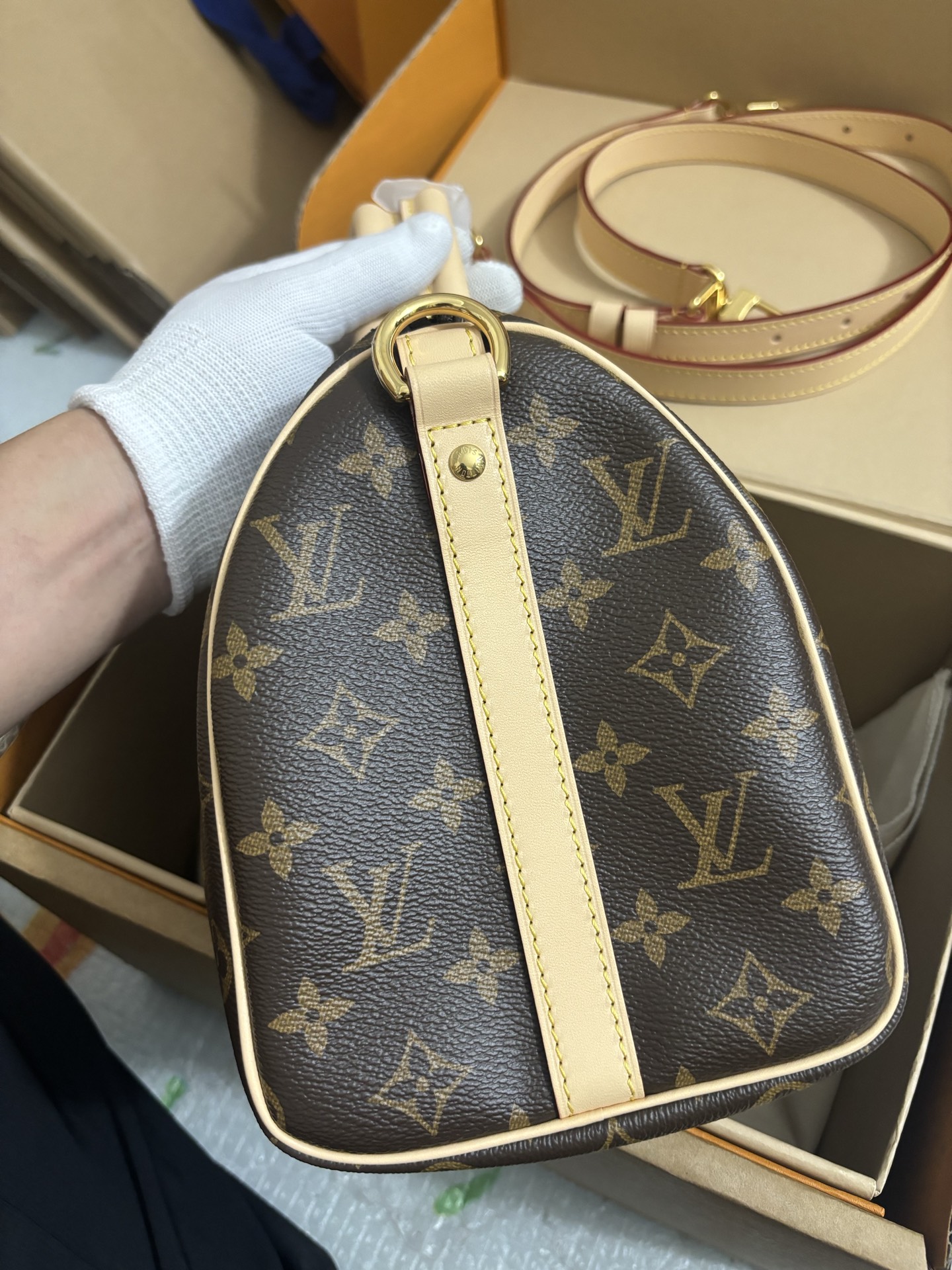 Louis Vuitton SPEEDY BANDOULIÈRE 25