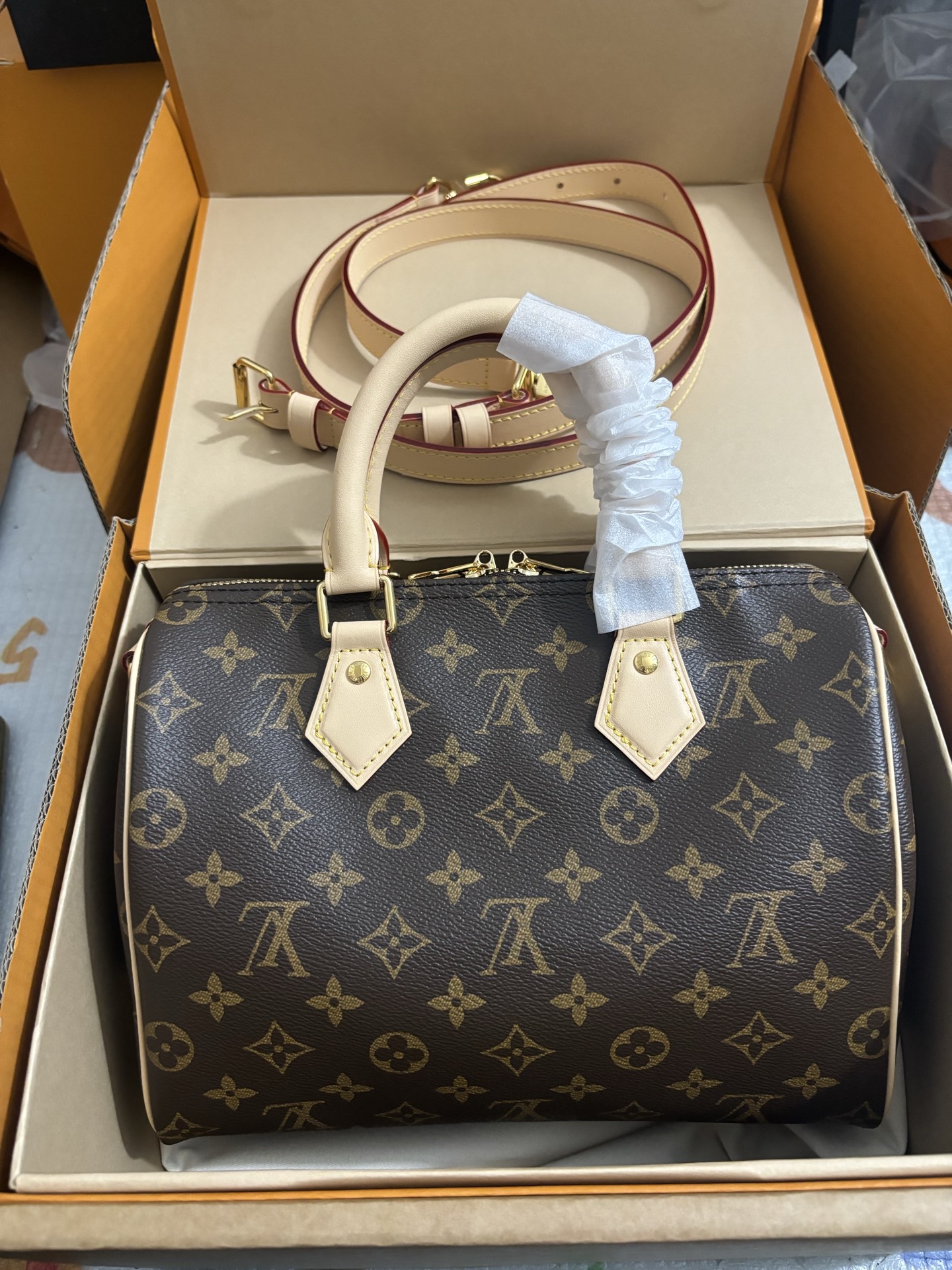 Louis Vuitton SPEEDY BANDOULIÈRE 25
