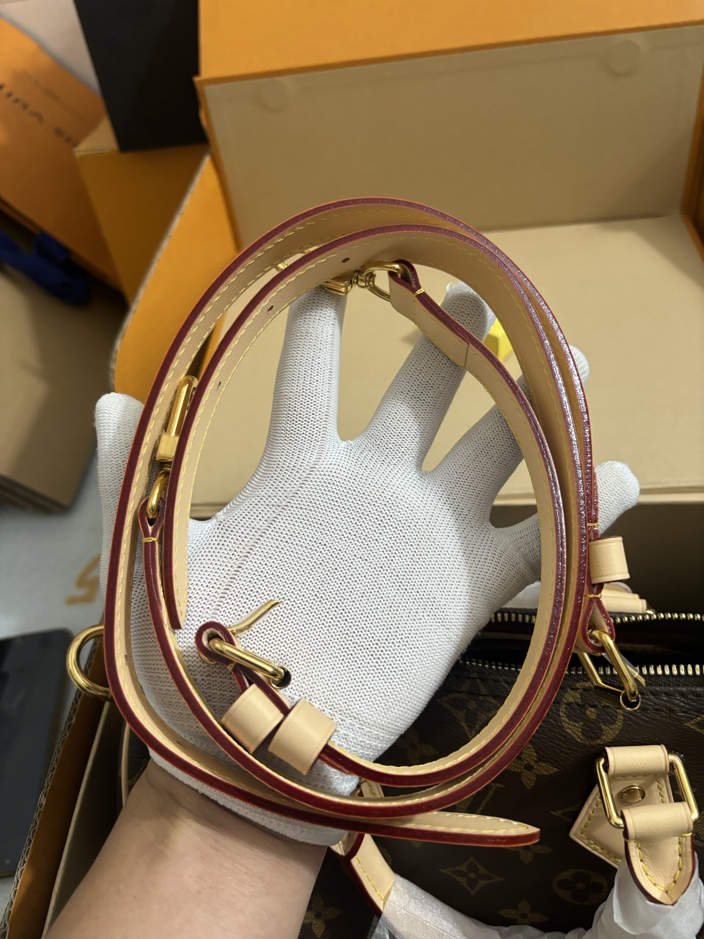 Louis Vuitton SPEEDY BANDOULIÈRE 25