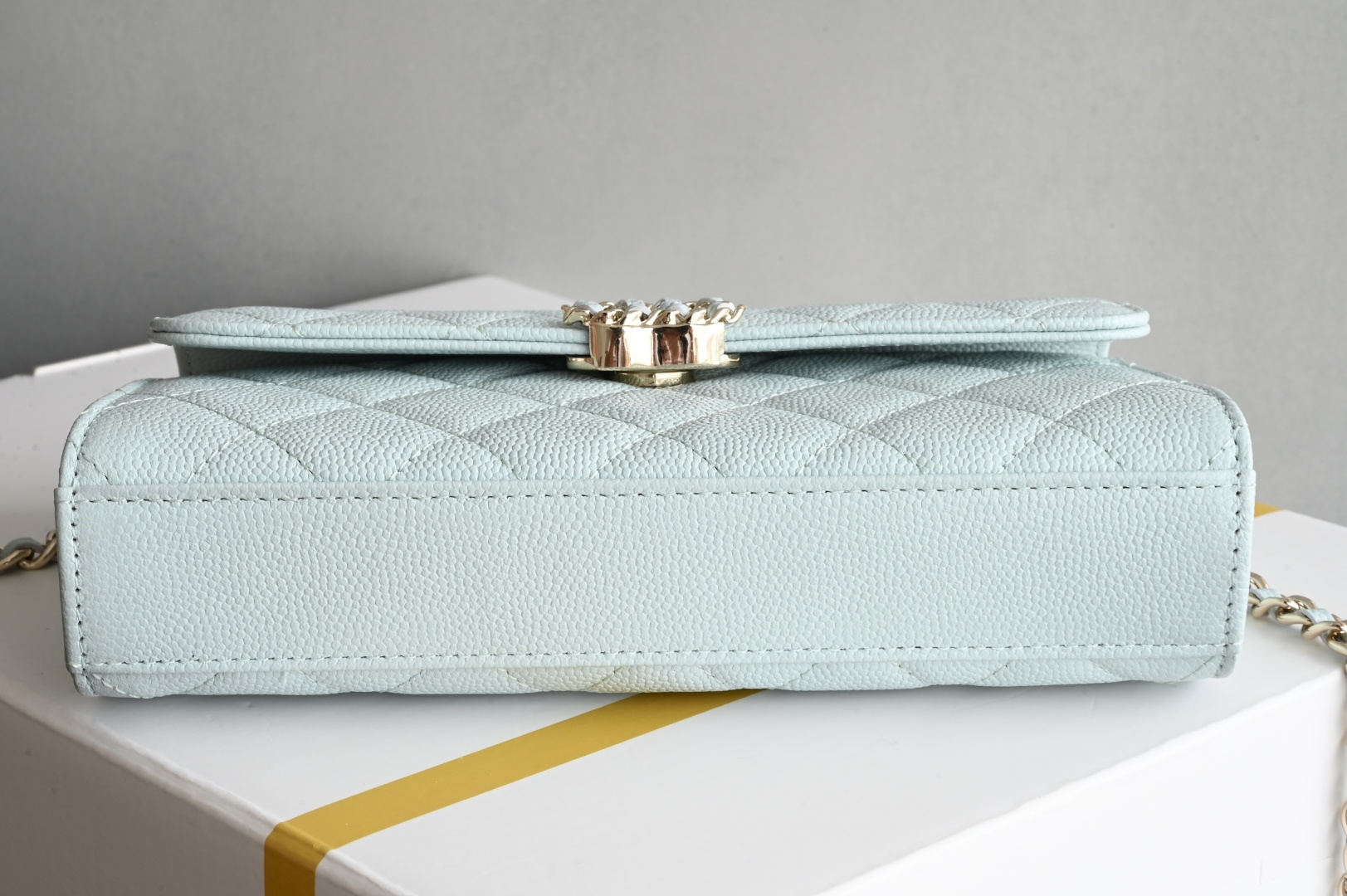 Chanel 25S leather chain handle kelly