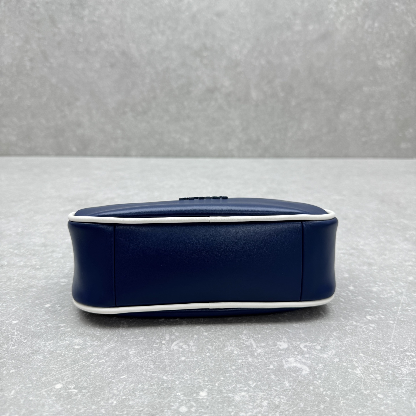 MiuMiu Wander Crescent bag