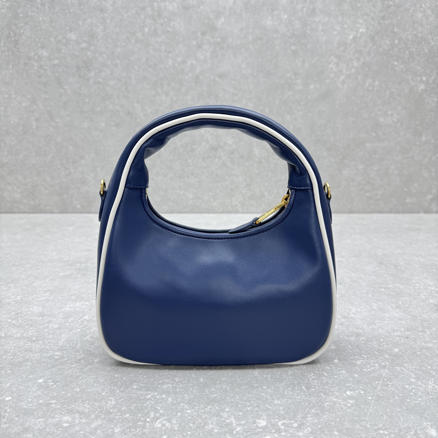 MiuMiu Wander Crescent bag