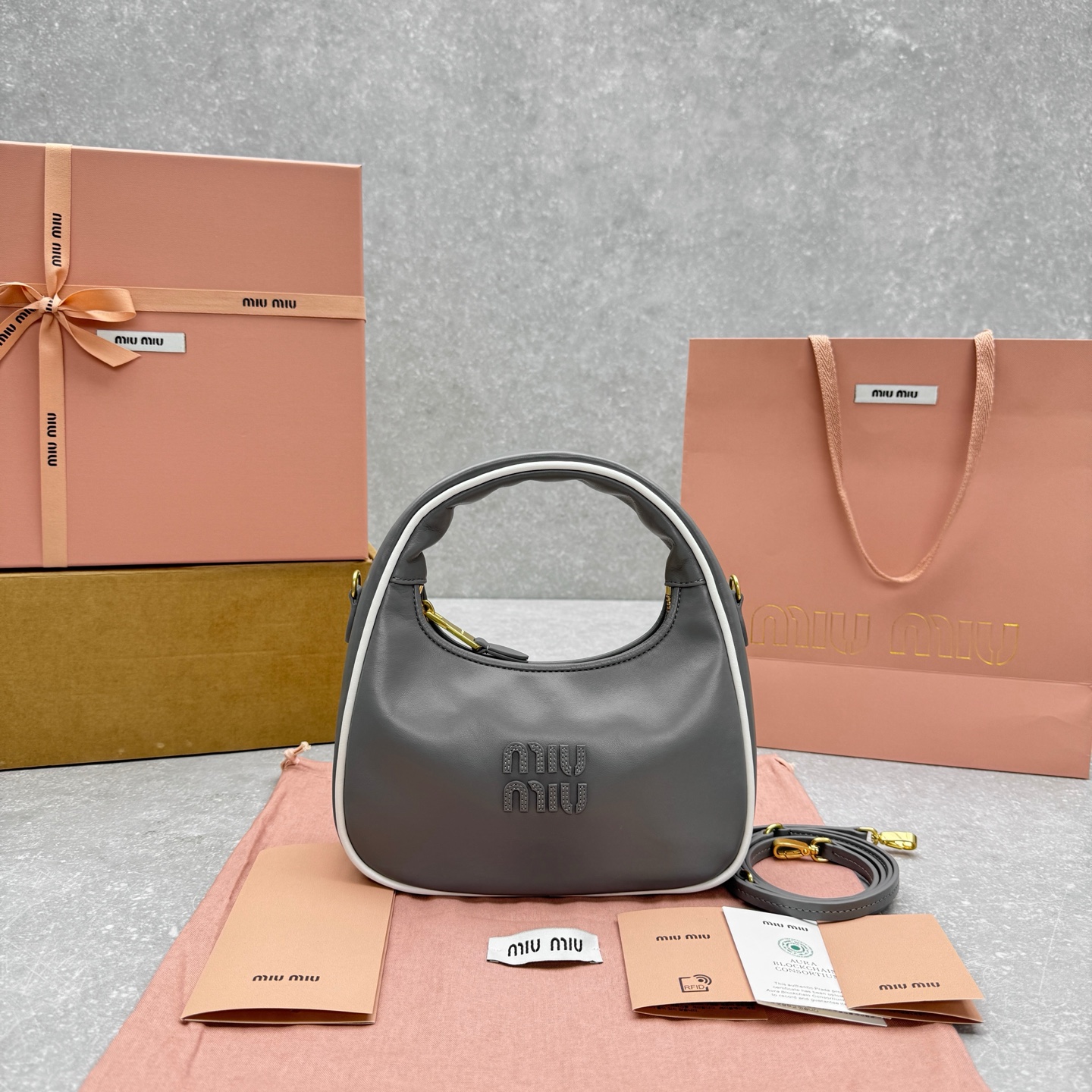 MiuMiu Wander Crescent bag