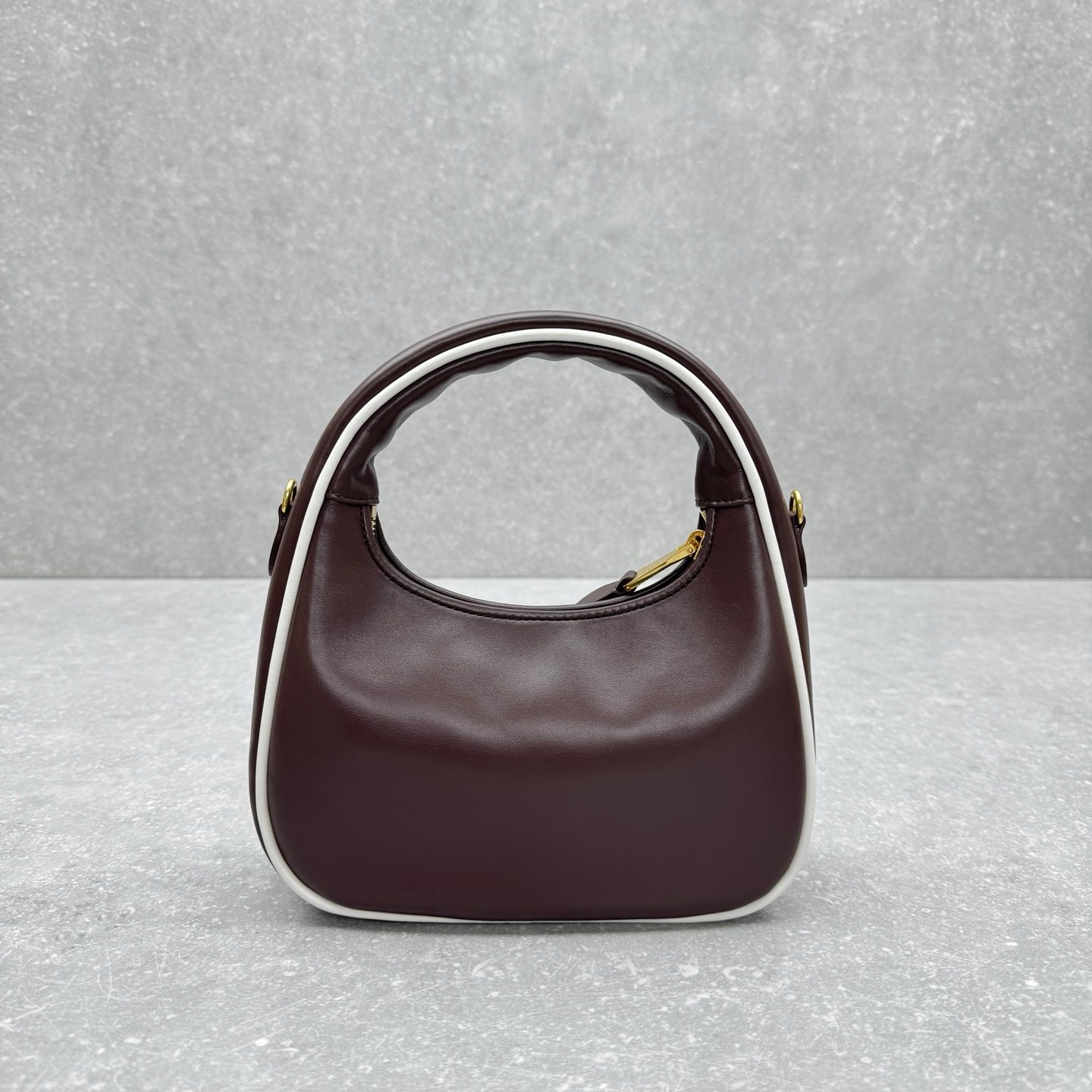 MiuMiu Wander Crescent bag