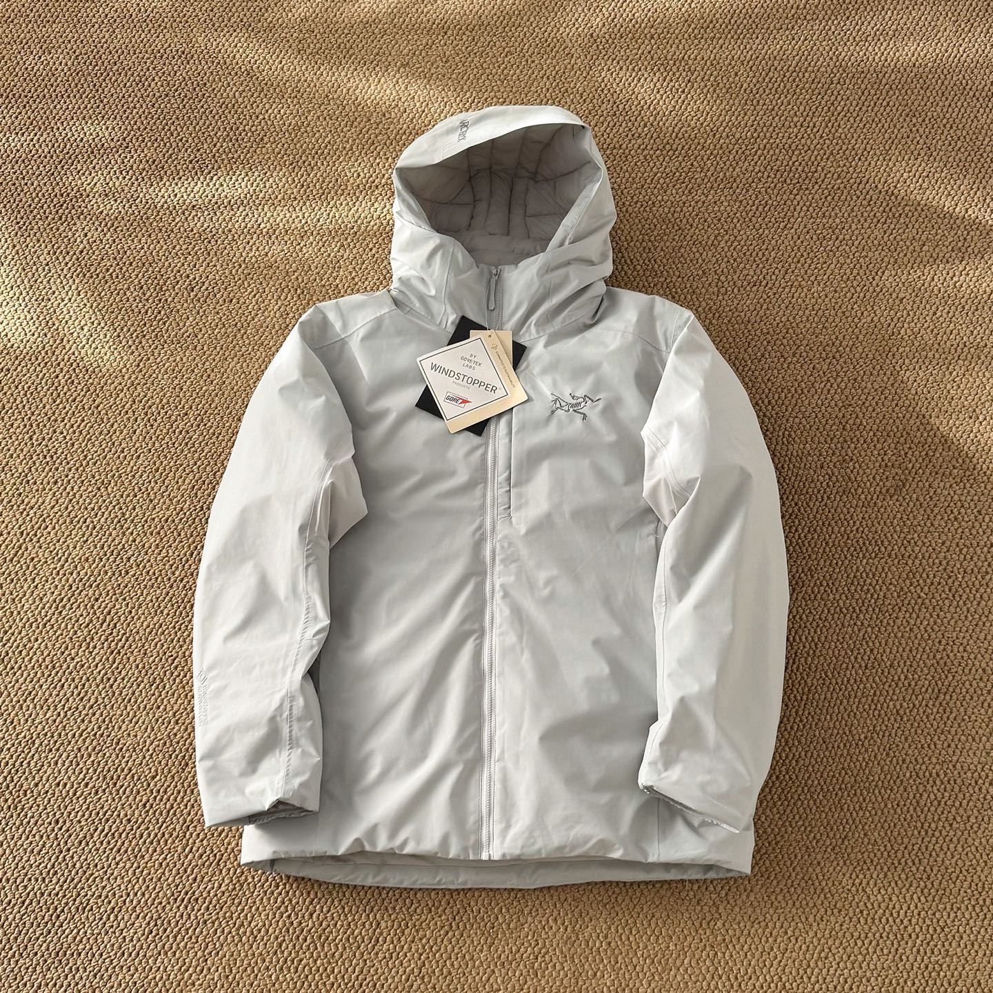 Arc'teryx down jacket